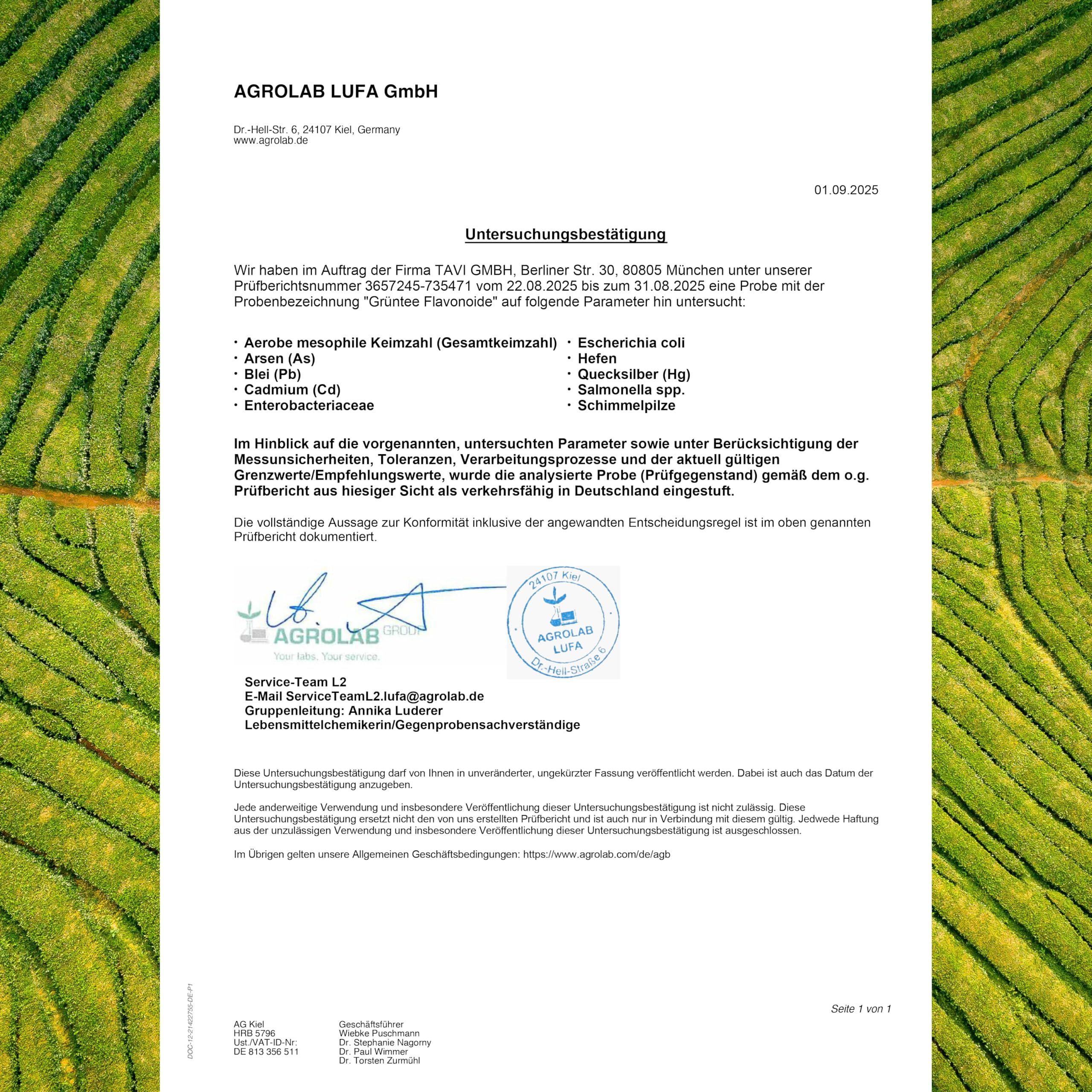 TAVI® Grüntee Flavonoide Kapseln (Grüntee-Extrakt, EGCG, Catechine)