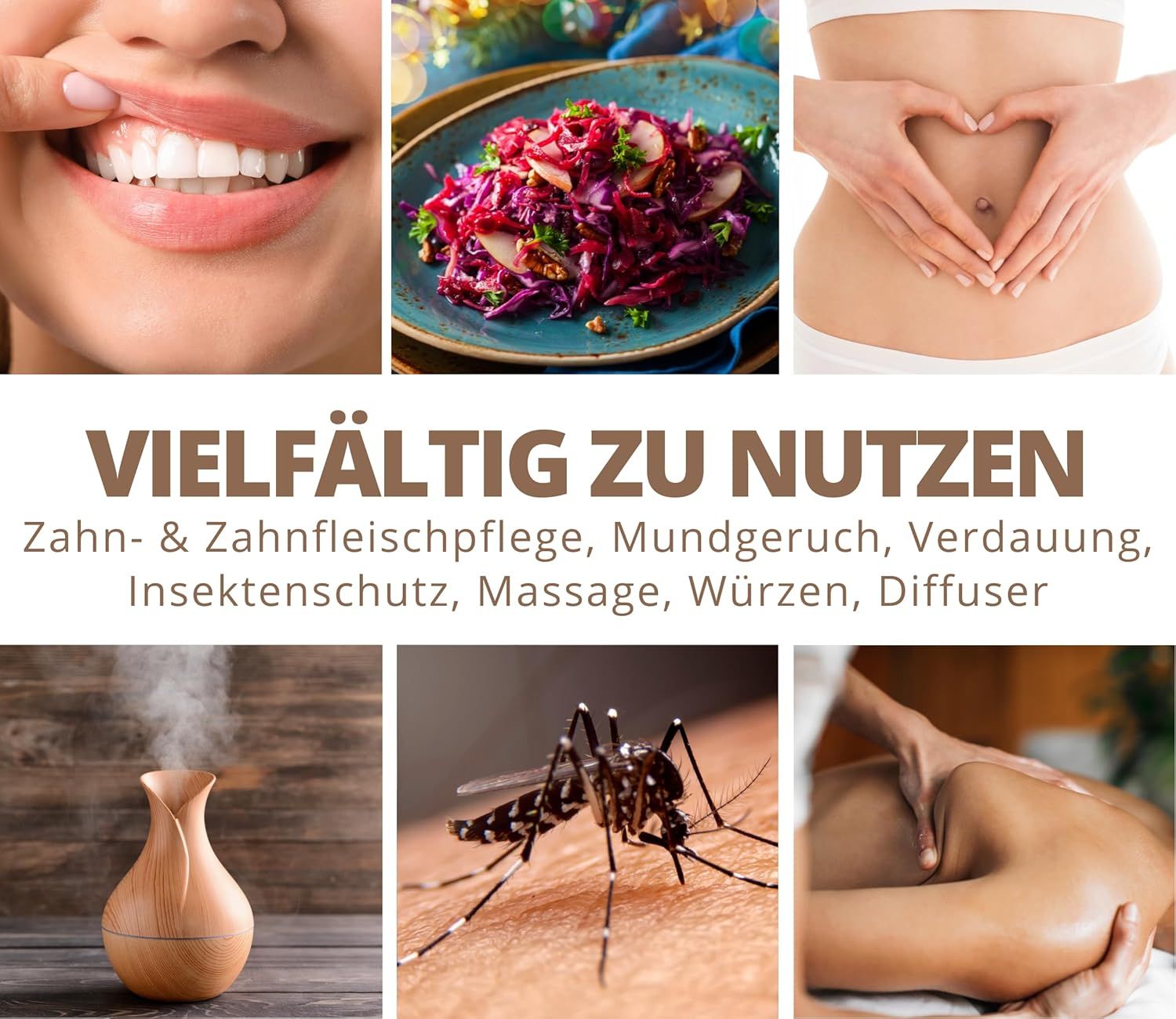 PHINTIN Bio Nelkenöl – 100 % naturrein, ätherisches Öl (Lebensmittelqualität)