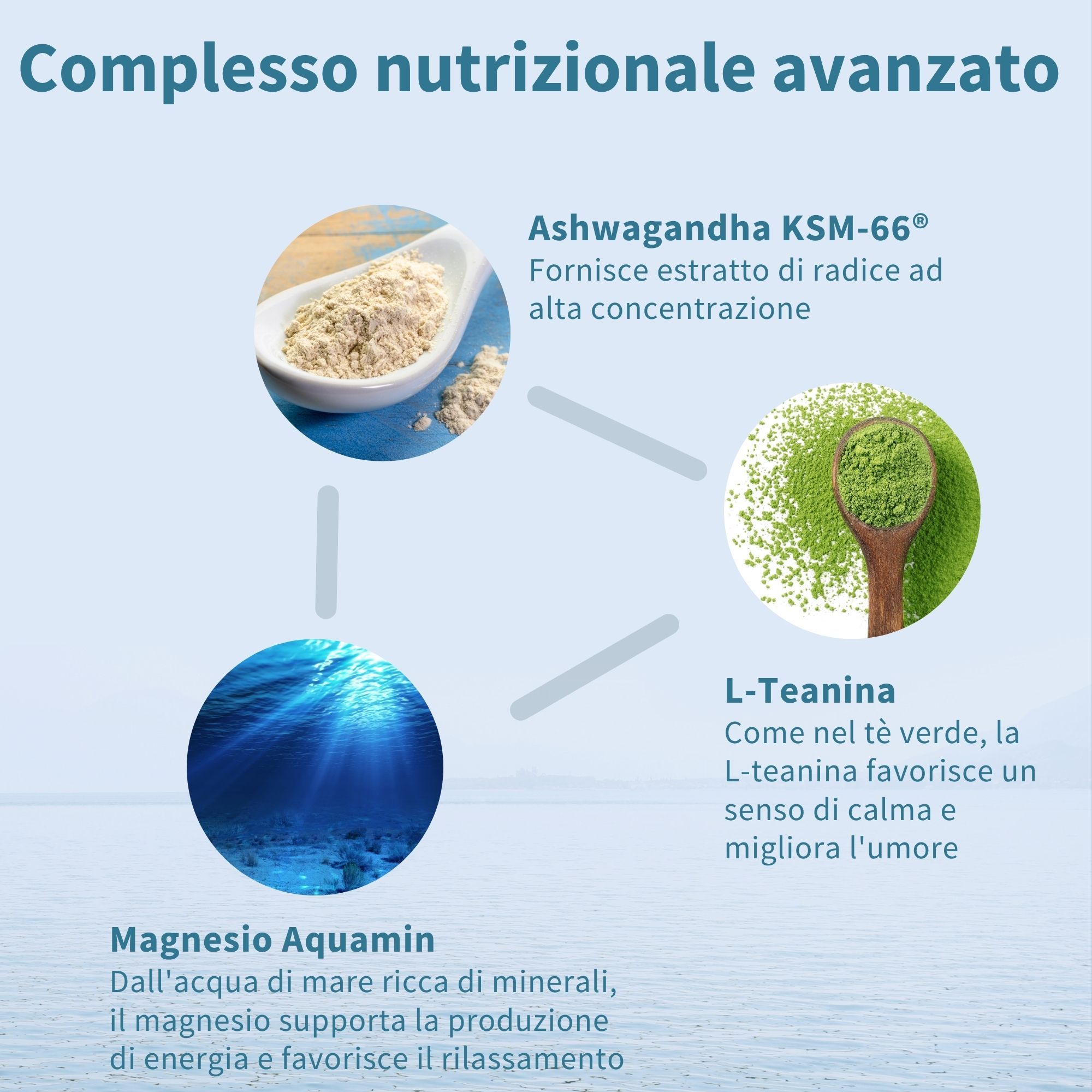 Grafik mit Ashwagandha, L-Theanin und Magnesium. Text: Ashwagandha KSM-66, L-Theanin, Magnesio Aquamin. Hintergrund: Wasser.