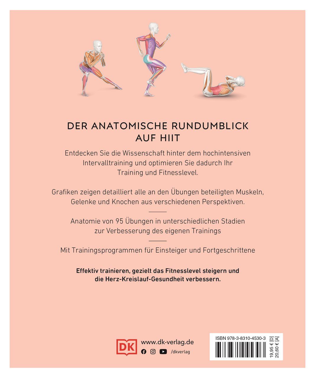 HIIT - Die Anatomie verstehen