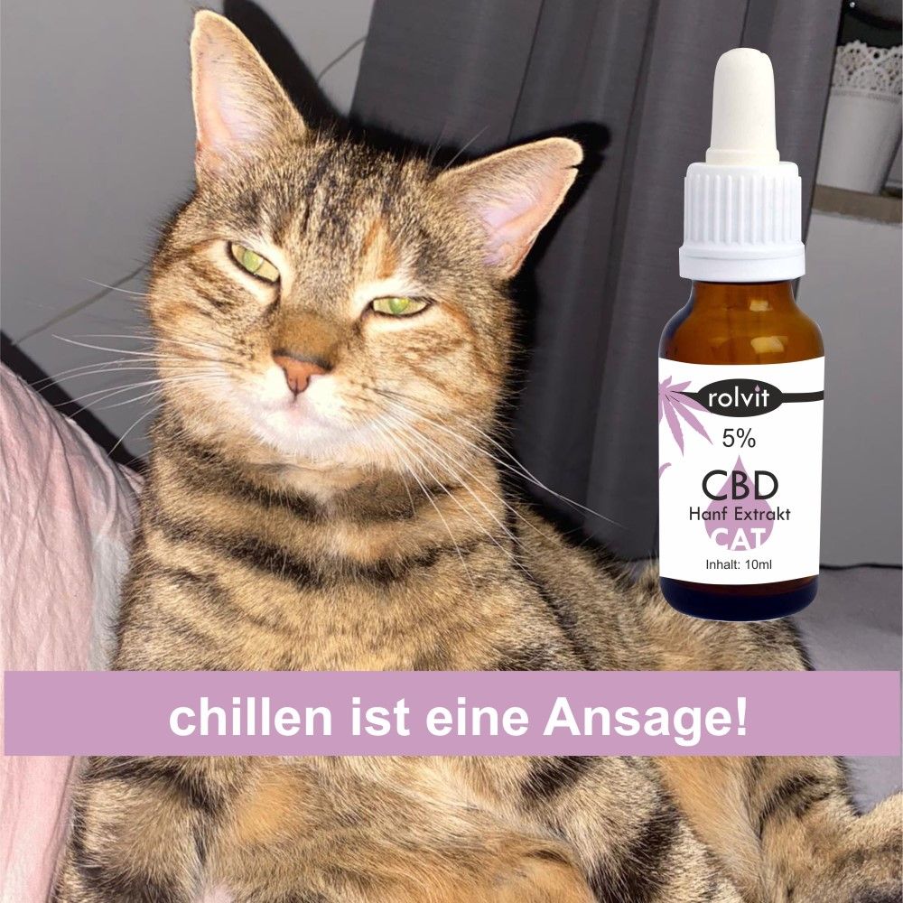 rolvit® CBD Öl CAT 5% für Katzen
