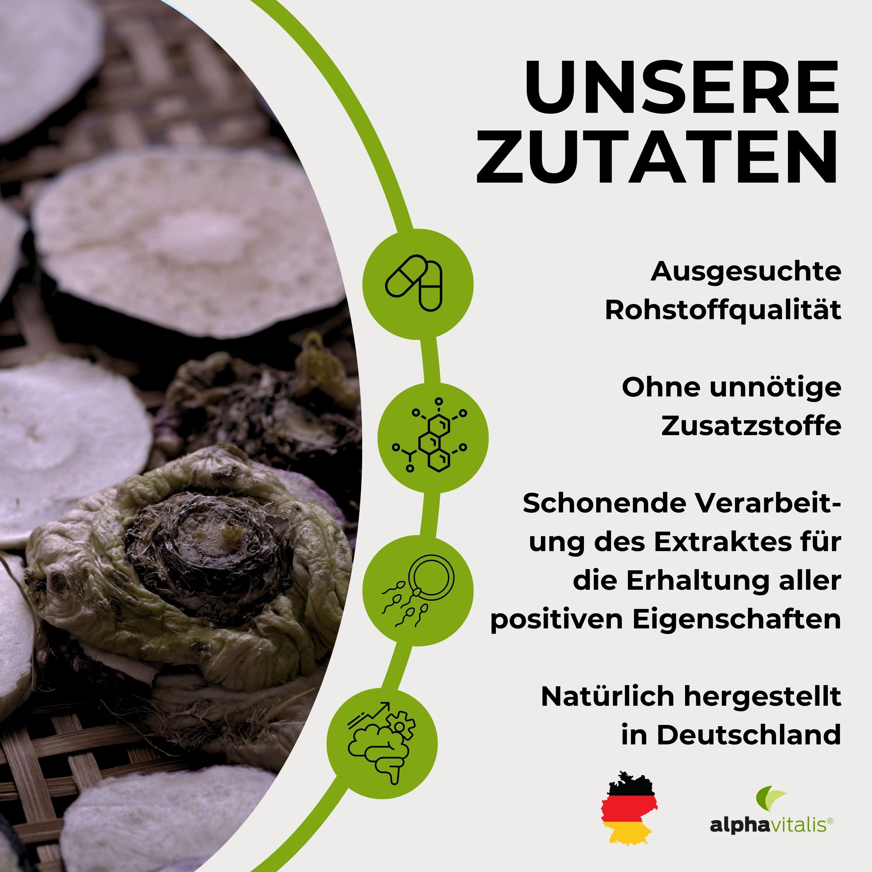 Alphavitalis Inhaltsstoffe: Ausgesuchte Rohstoffqualität, schonende Verarbeitung, natürlich hergestellt in Deutschland. Mit Wurzel-Extrakten.