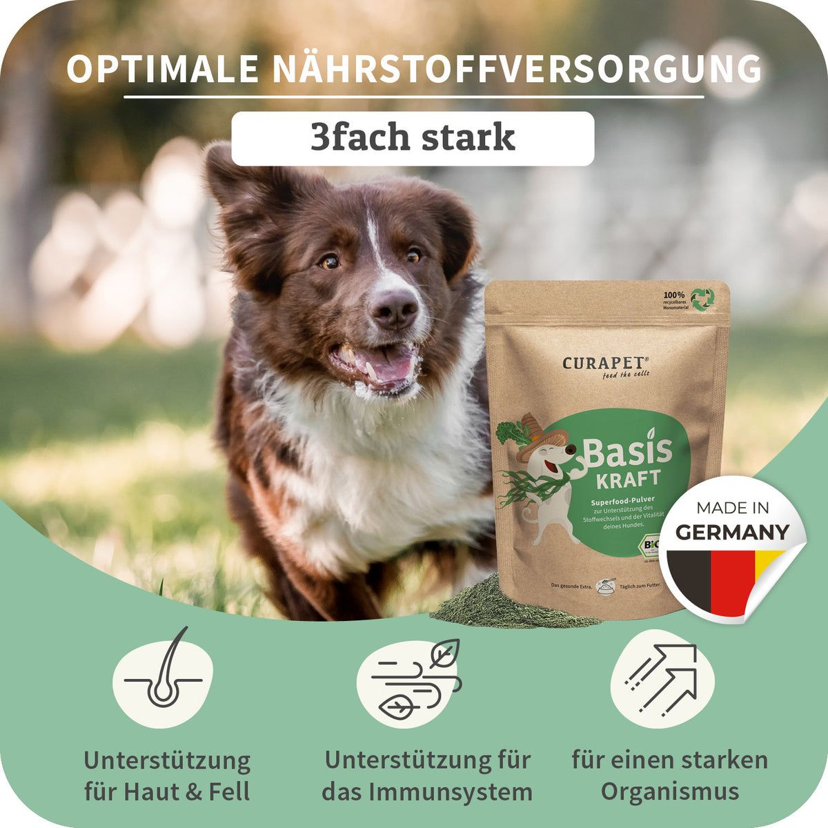 Hund neben Produktpackung. Text: Optimale Nährstoffversorgung, 3fach stark. Icons: Haut & Fell, Immunsystem, Organismus. Made in Germany.