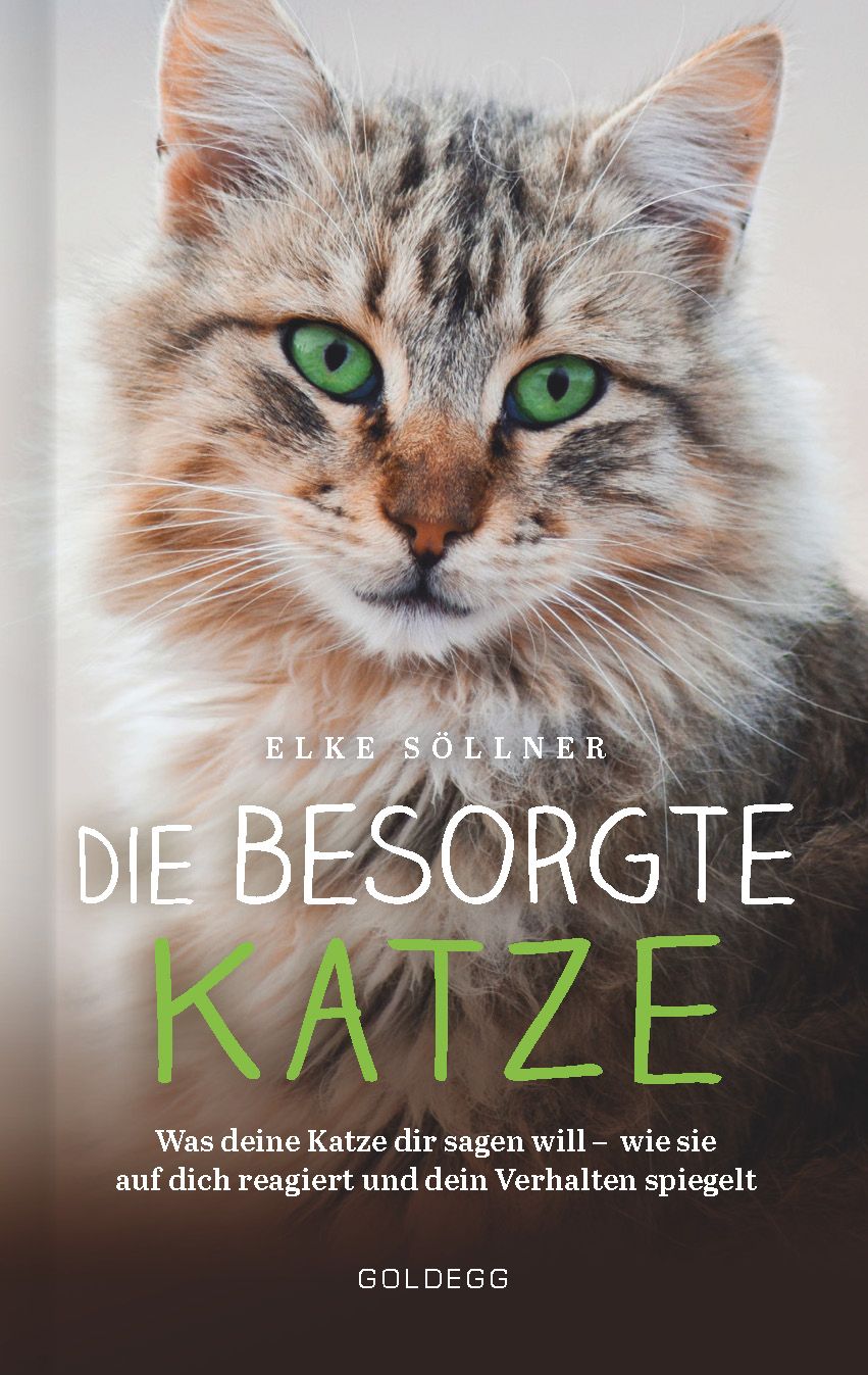 Buchcover mit dem Titel "Die besorgte Katze". Ein Katzenporträt mit grünen Augen. Autor: Elke Söllner. Verlag: Goldegg.