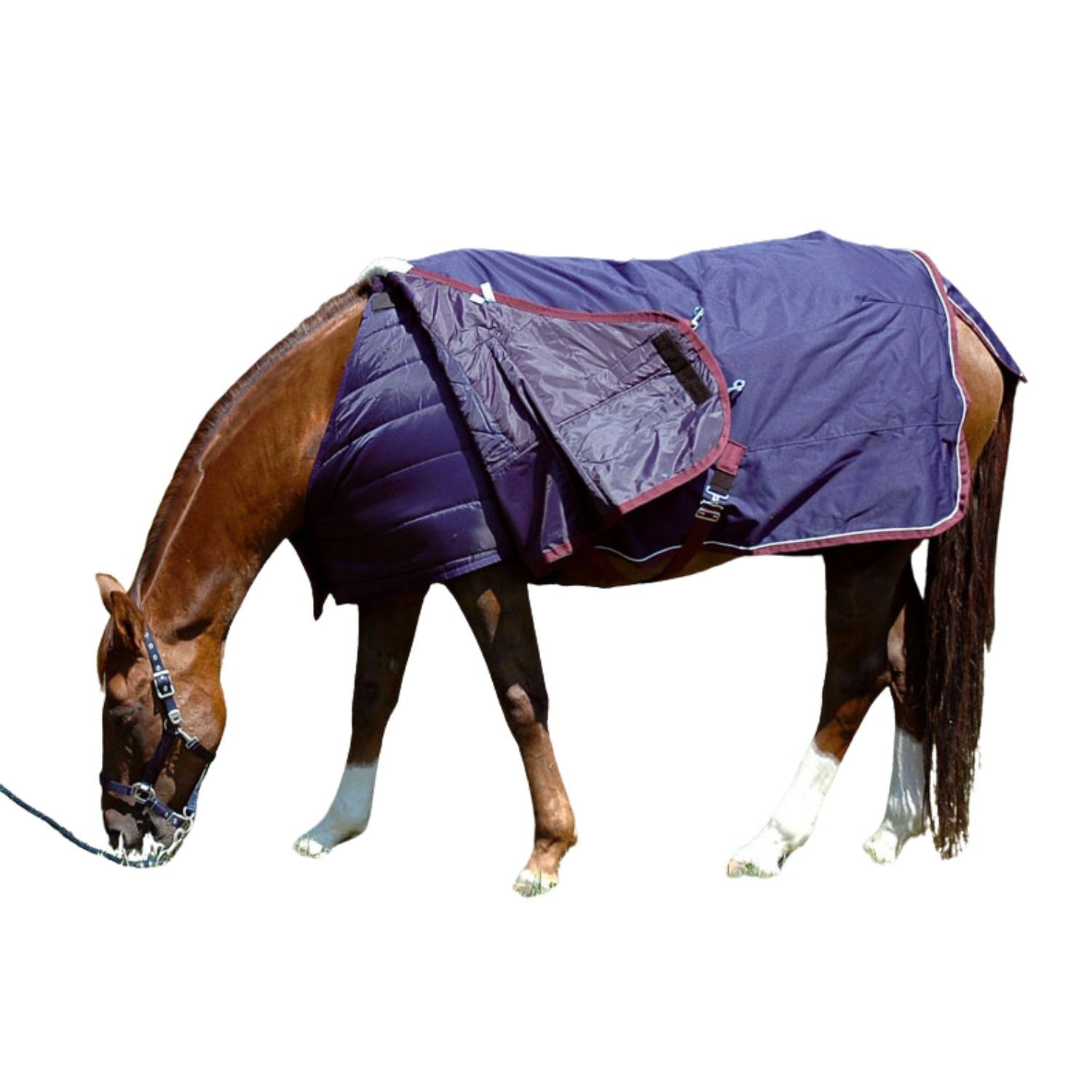 Pferdedecke, blau mit roter Umrandung, auf einem Pferd. Das Pferd frisst Gras. Die Decke hat eine Tasche.