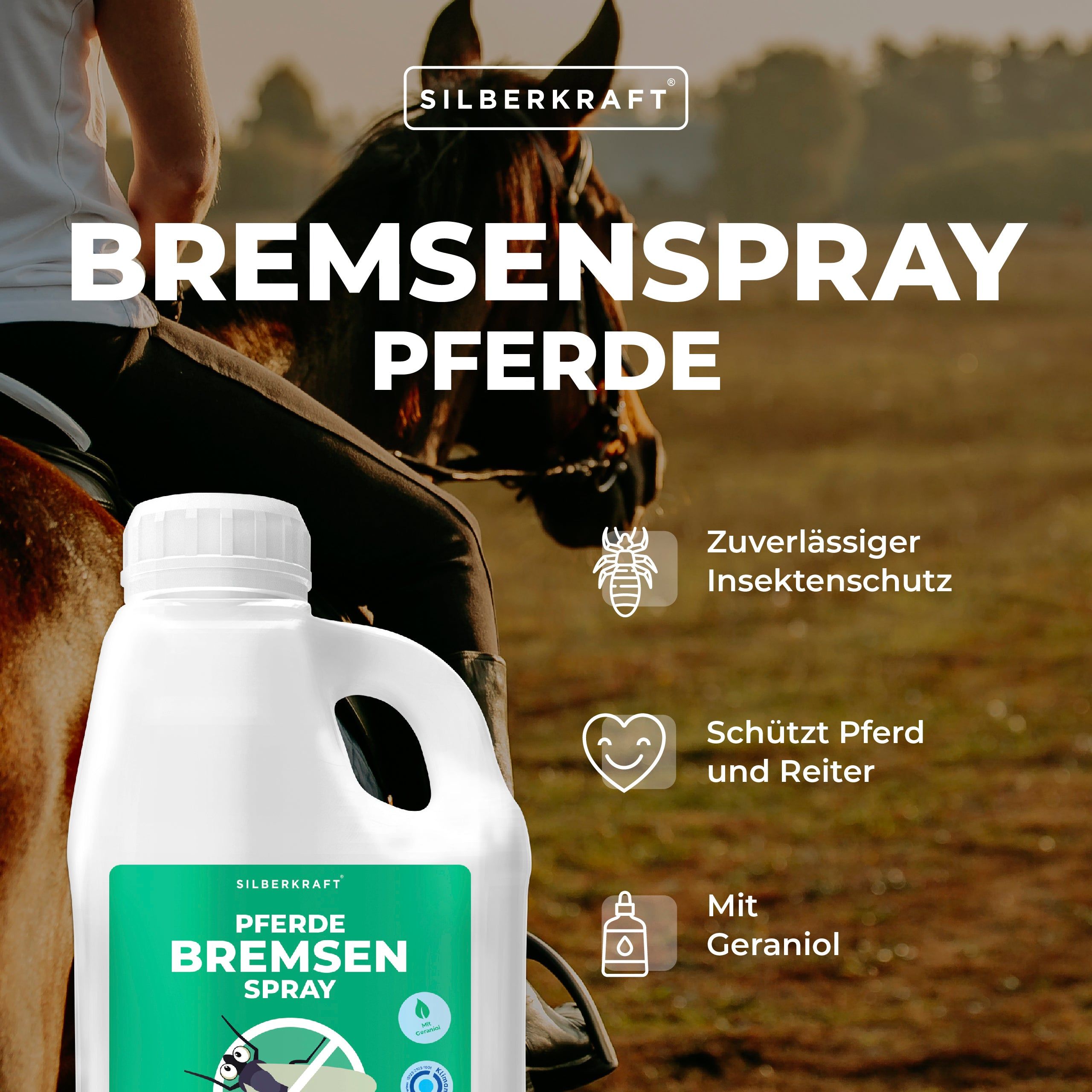 Silberkraft Bremsen-Spray für Pferde 2 l Spray