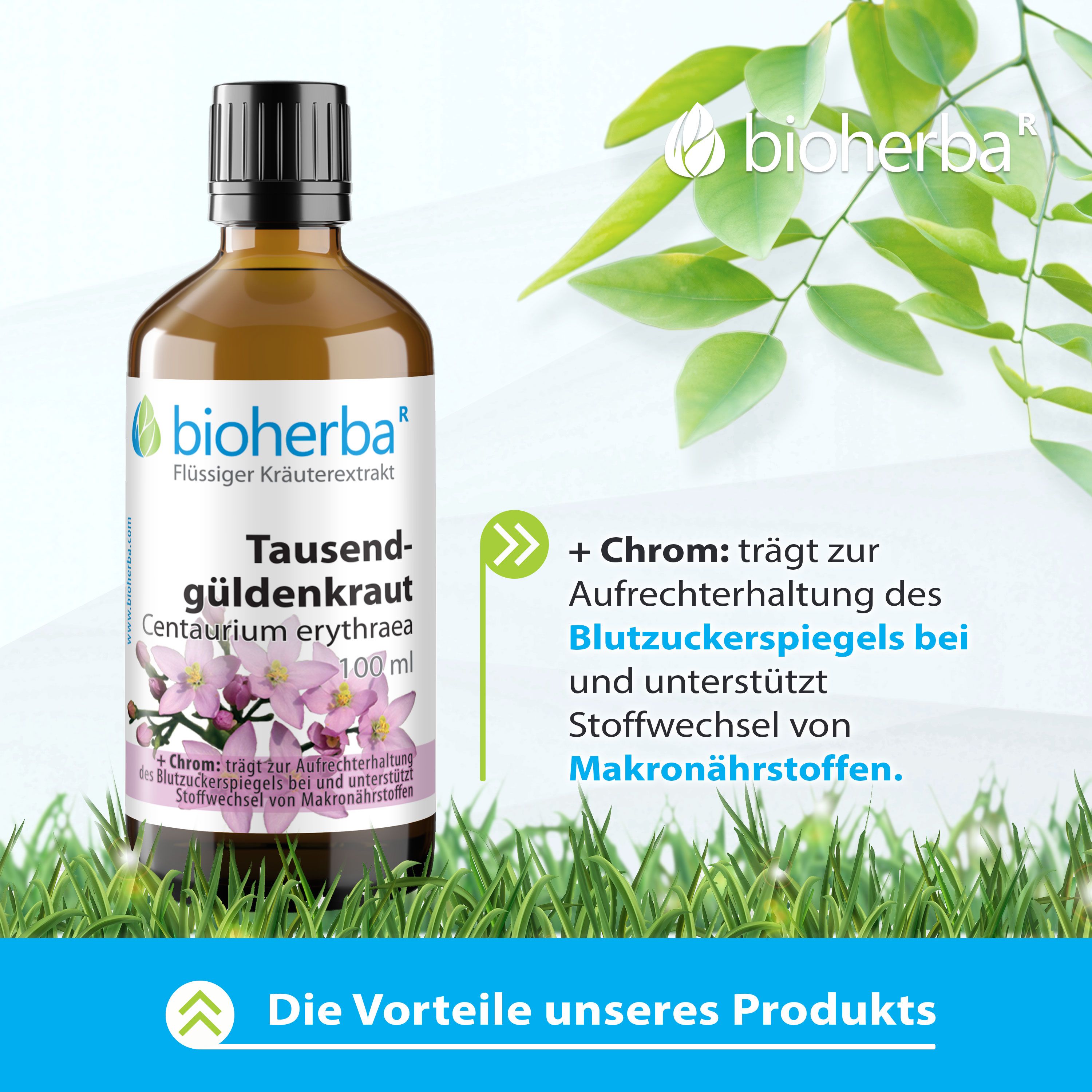 Bioherba Tausendgüldenkraut Centaurium erythraea Tropfen Tinktur