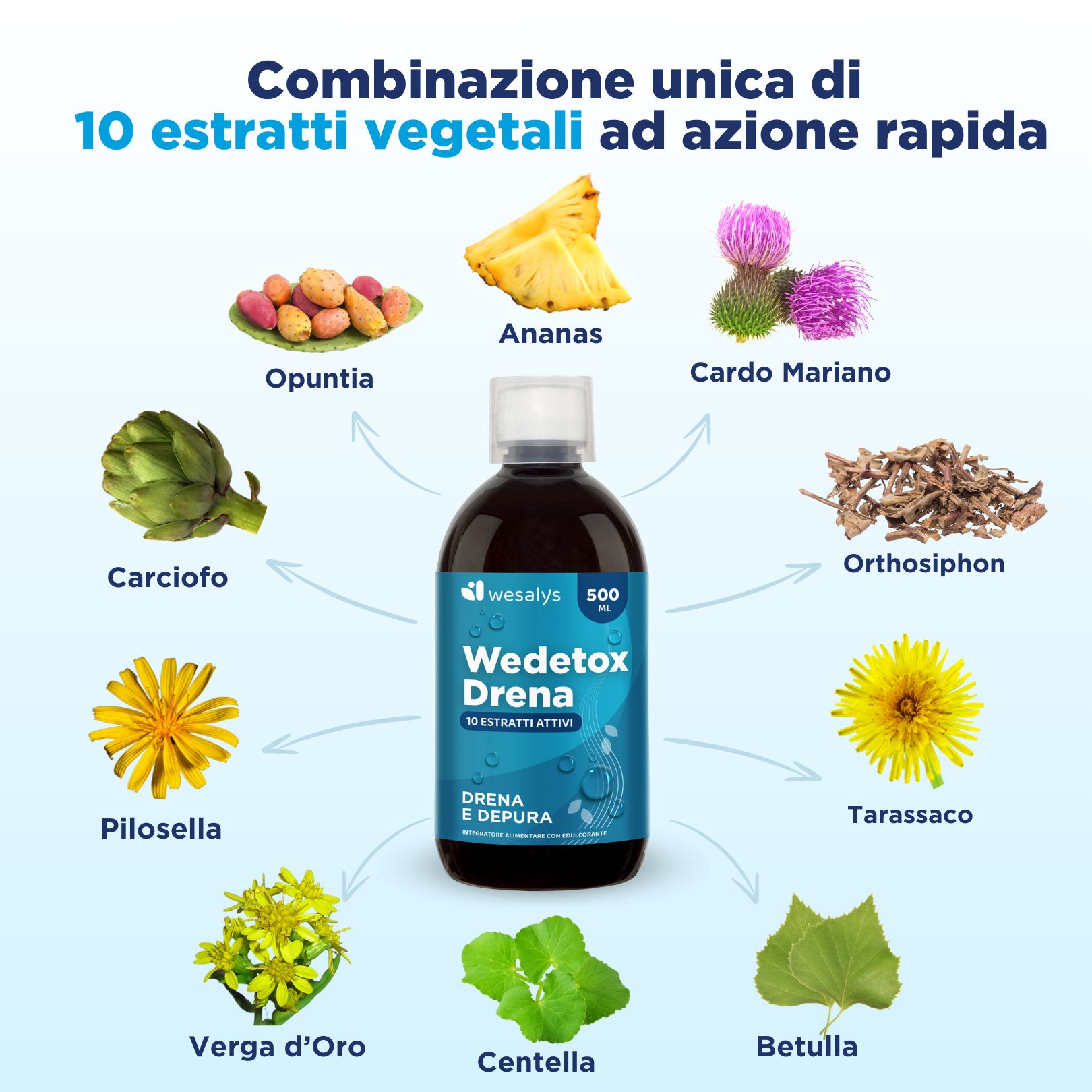 WESALYS® Wedetox Drena – Mit Ananas und Birke, die die Ausscheidung von Flüssigkeiten fördern