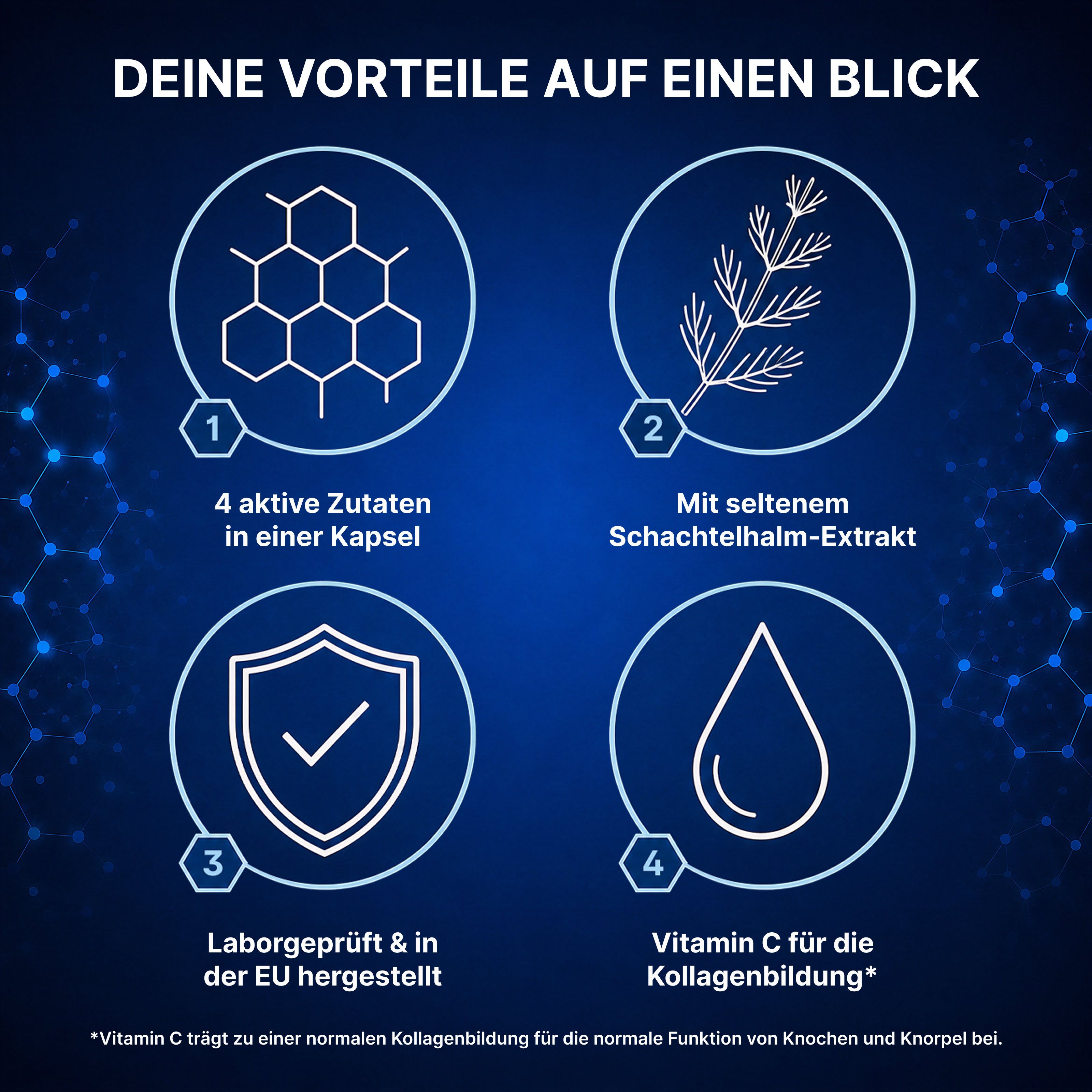 Vier Vorteile auf einen Blick: 4 aktive Zutaten in einer Kapsel, Schachtelhalm-Extrakt, Laborgeprüft & in der EU hergestellt, Vitamin C für Kollagenbildung.