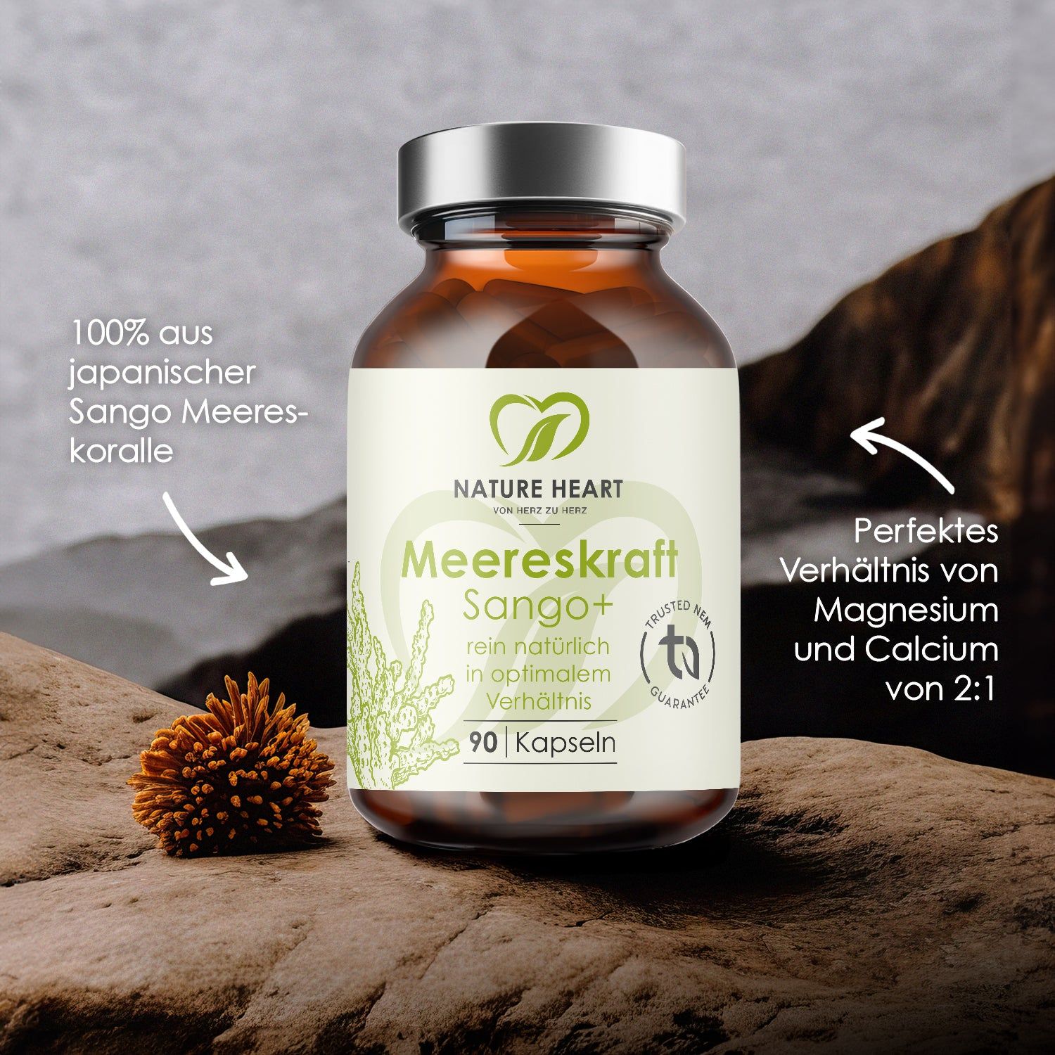 Braune Glasflasche mit Kapseln. Aufschrift: Meereskraft Sango+, 90 Kapseln. Logo: Nature Heart. Text: 100% aus japanischer Sango Meereskoralle.