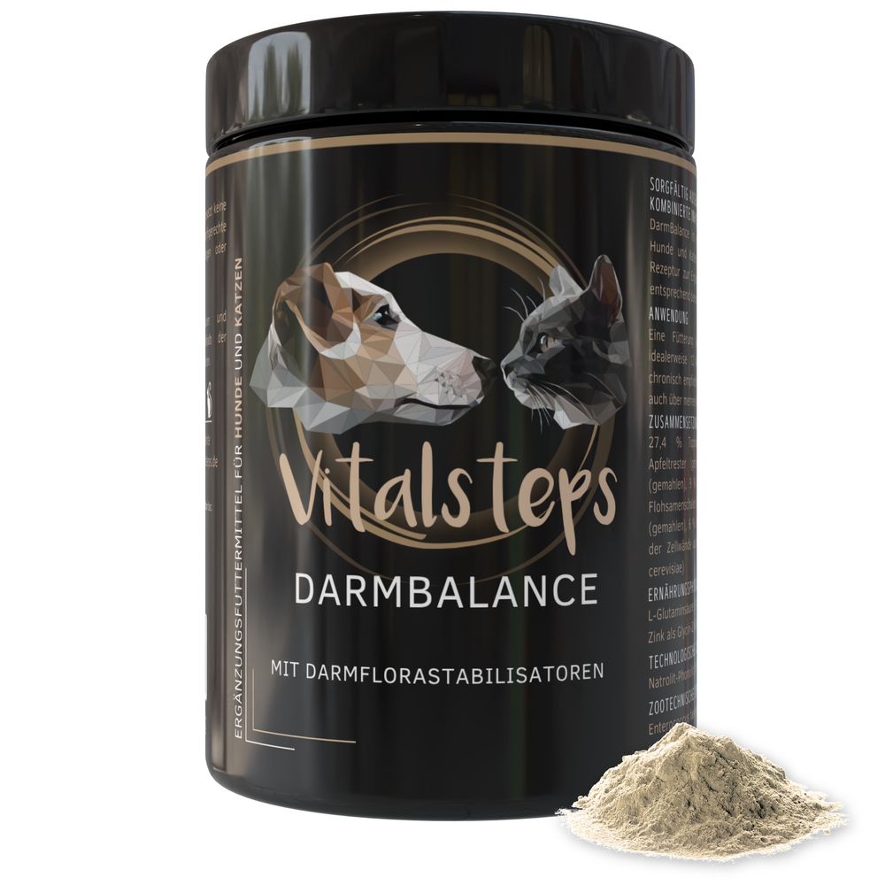 Vitalsteps DarmBalance 500 g Pulver