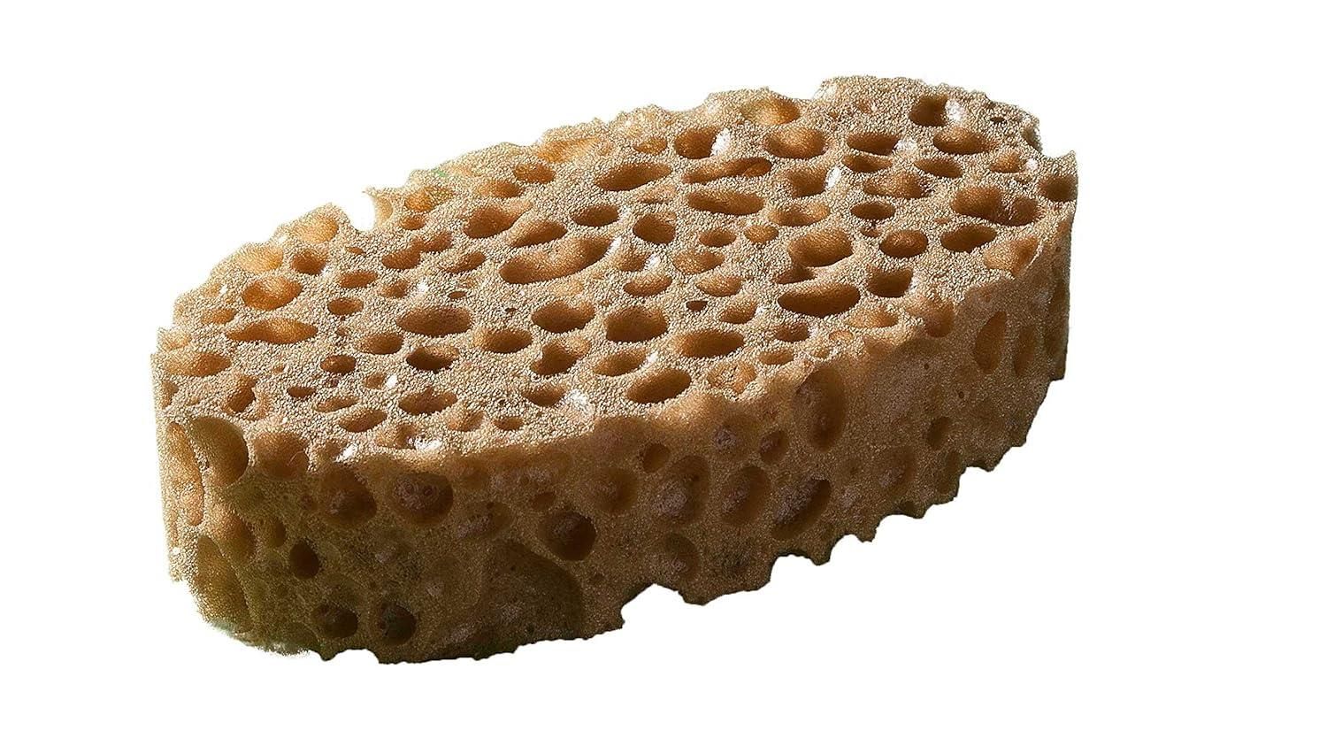 Ovaler, poröser Schwamm. Beige Farbe. Viele Löcher. Nahaufnahme, weißer Hintergrund.