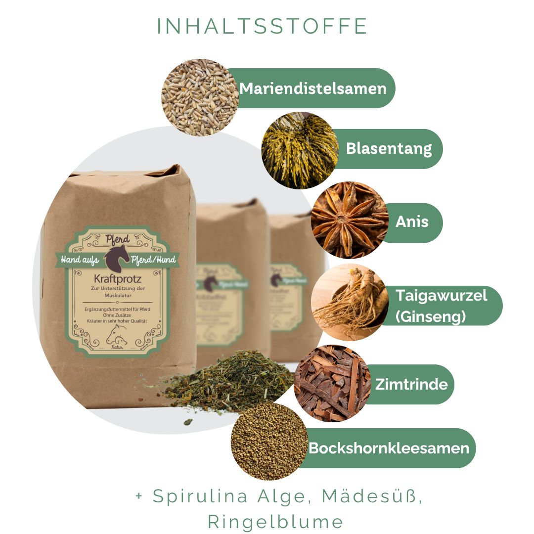 Drei braune Papiertüten mit Produktetikett und Kräutermischung. Abbildung von Zutaten: Mariendistelsamen, Blasentang, Anis, Taigawurzel, Zimtrinde, Bockshornkleesamen.