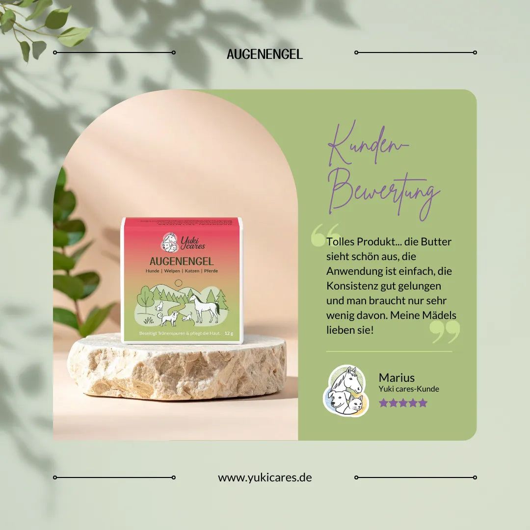 Yuki cares Augenengel