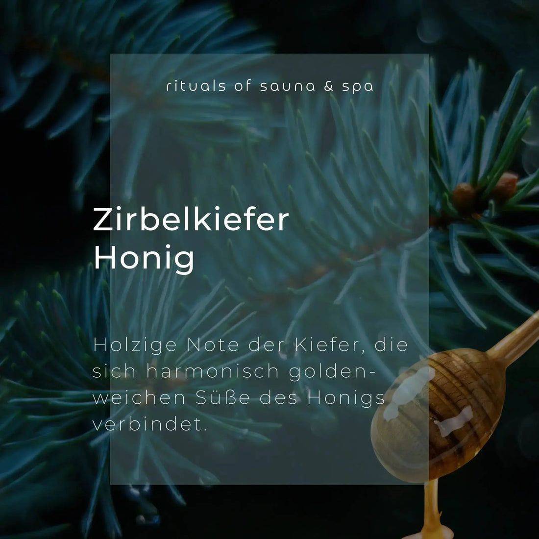 Nahaufnahme von Kiefernzweigen und Honig. Text: Zirbelkiefer Honig. Holzige Note der Kiefer, die sich harmonisch verbindet.