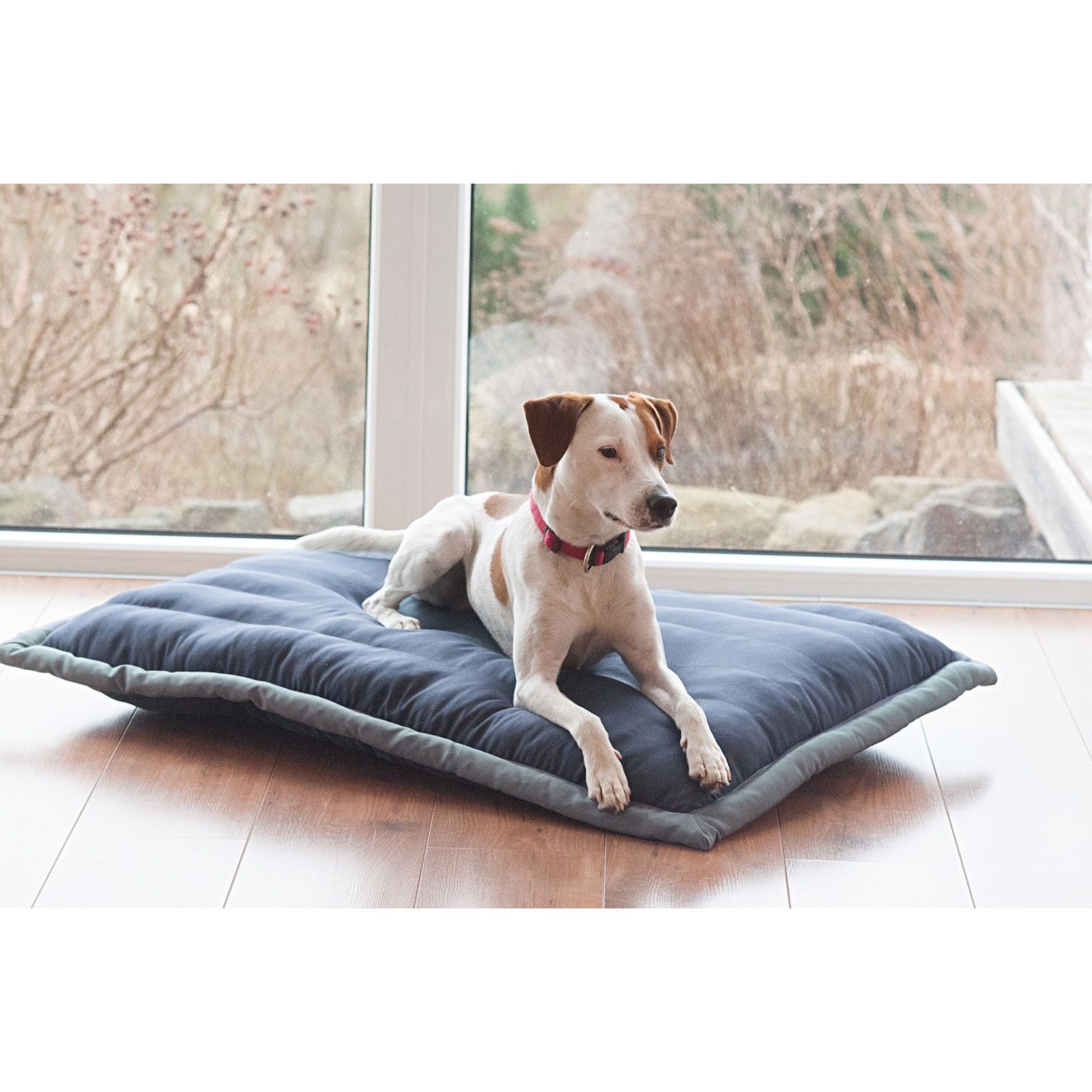 Aumüller Liegekissen CANVAS für Hunde