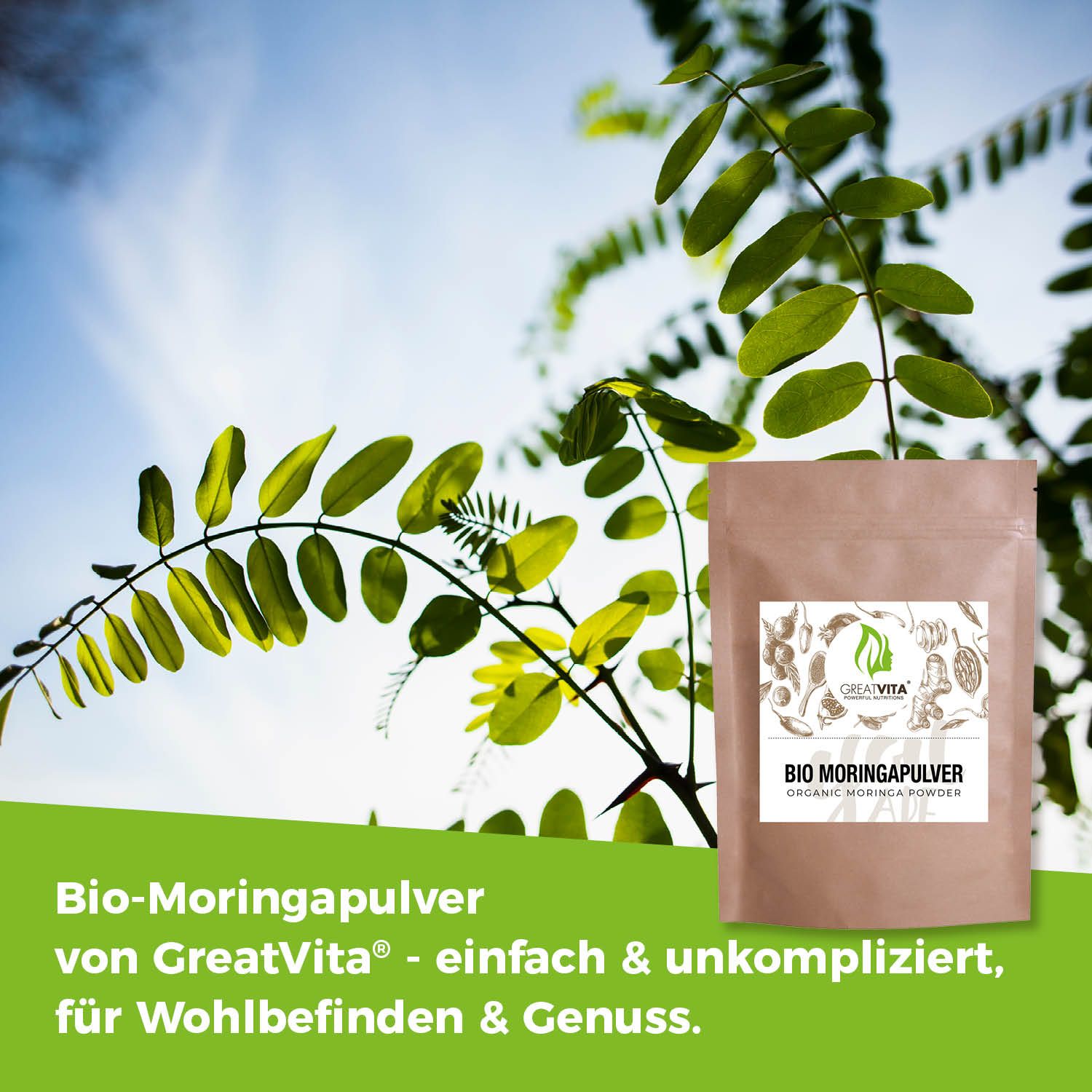 Produktverpackung mit Aufdruck "BIO MORINGAPULVER" vor blauem Himmel und grünen Blättern. Text: "Bio-Moringapulver von GreatVita".