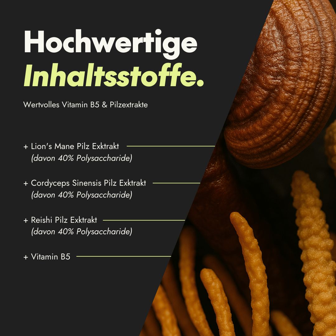 Nahaufnahme von Pilzextrakten. Text: Hochwertige Inhaltsstoffe. Lion's Mane, Cordyceps, Reishi.