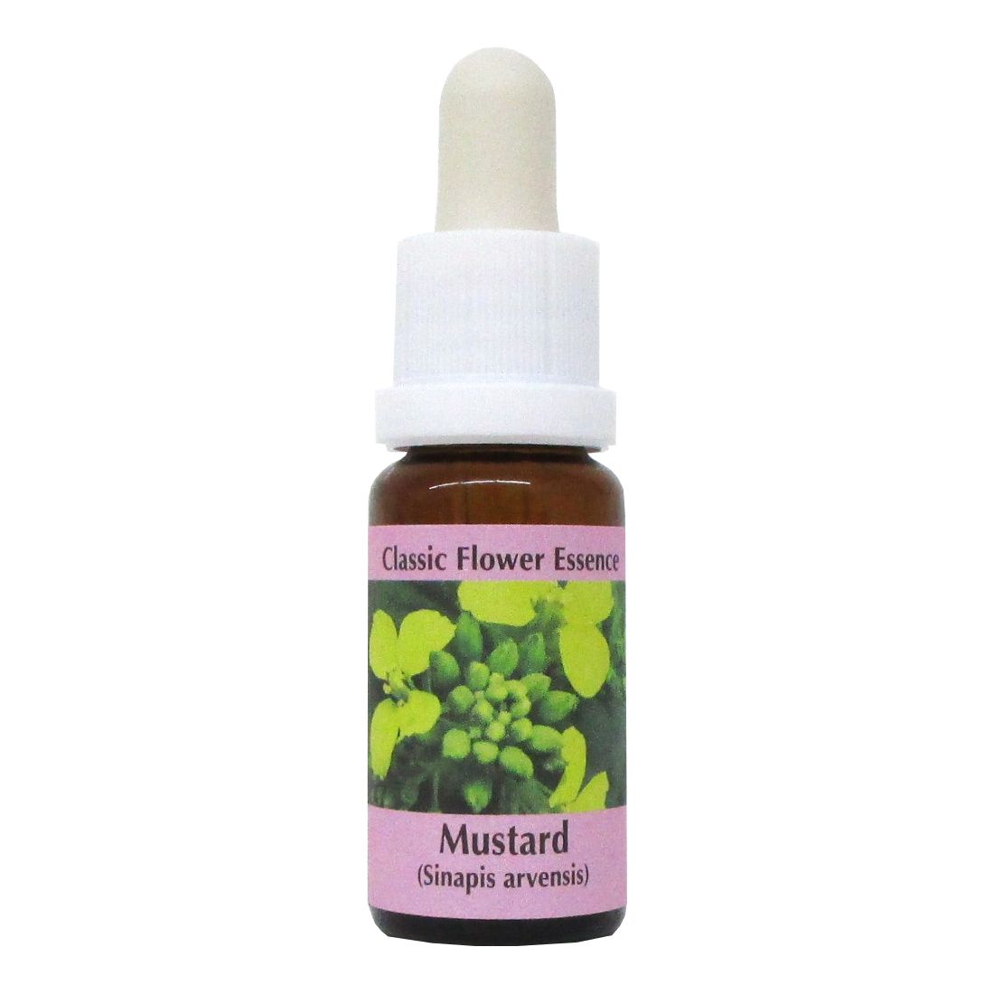 PHI Essences - Mustard Bachblüte Nr. 21