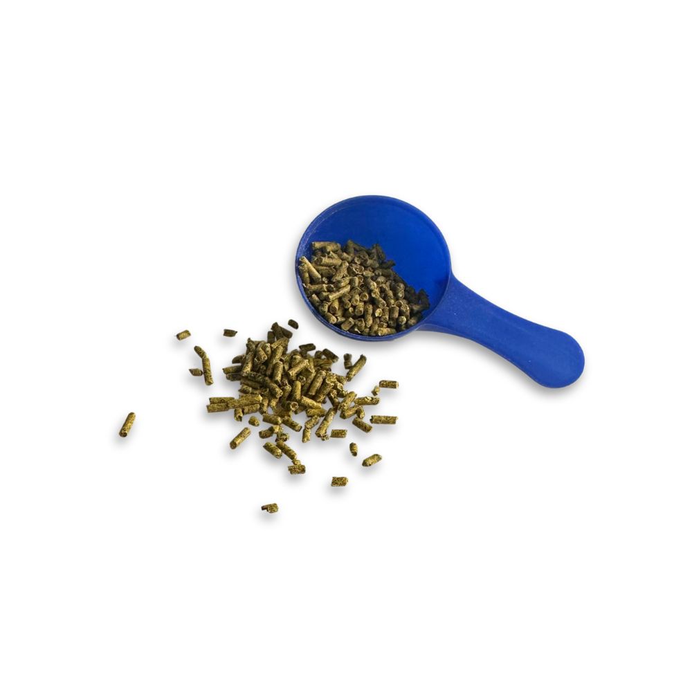 Haufen brauner Pellets neben blauem Messlöffel. Pellets sind Nahrungsergänzungsmittel für Hunde.