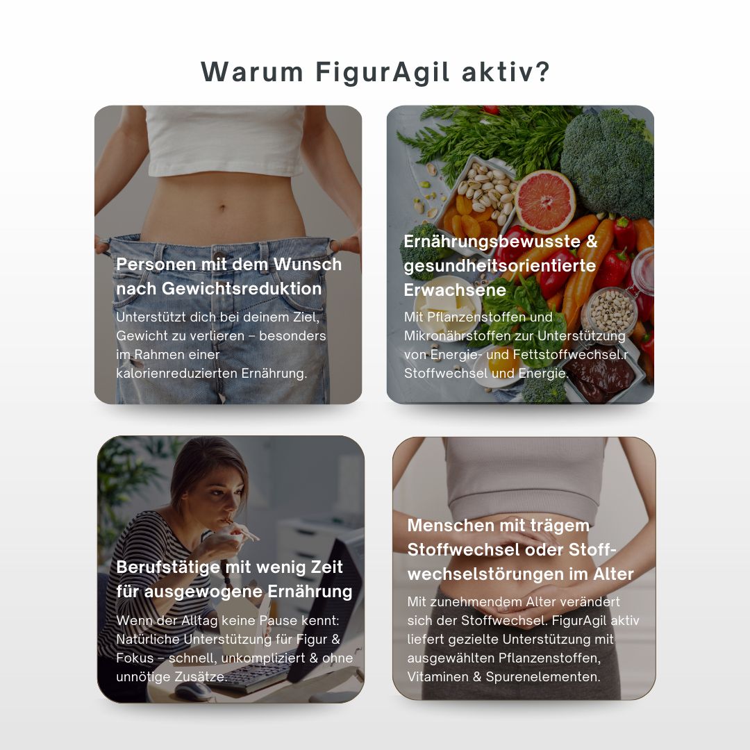 Vier Kacheln mit Text und Bildern. Themen: Gewichtsreduktion, gesunde Ernährung, wenig Zeit, Stoffwechselstörungen.