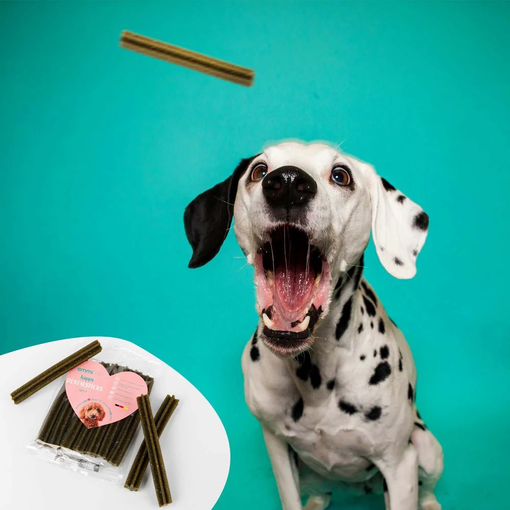 Ein Dalmatiner öffnet das Maul. Daneben liegen Dentalsticks und eine Packung mit Herzform.