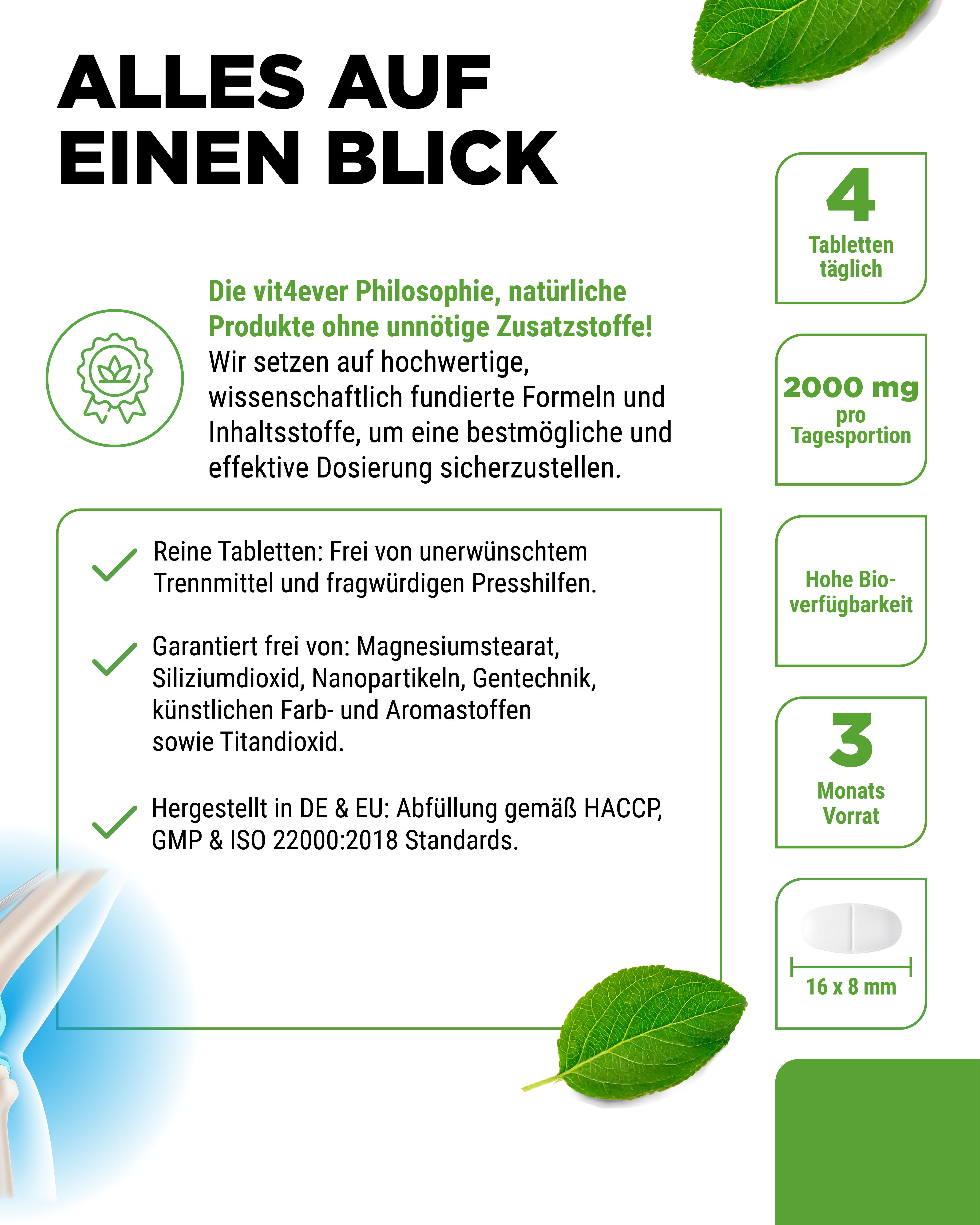 Weiße Flasche mit grünem Deckel, Etikett "vit4ever Glucosamin, Chondroitin & MSM". Text: "365 Tabletten". Informationen zu Inhaltsstoffen und Dosierung.
