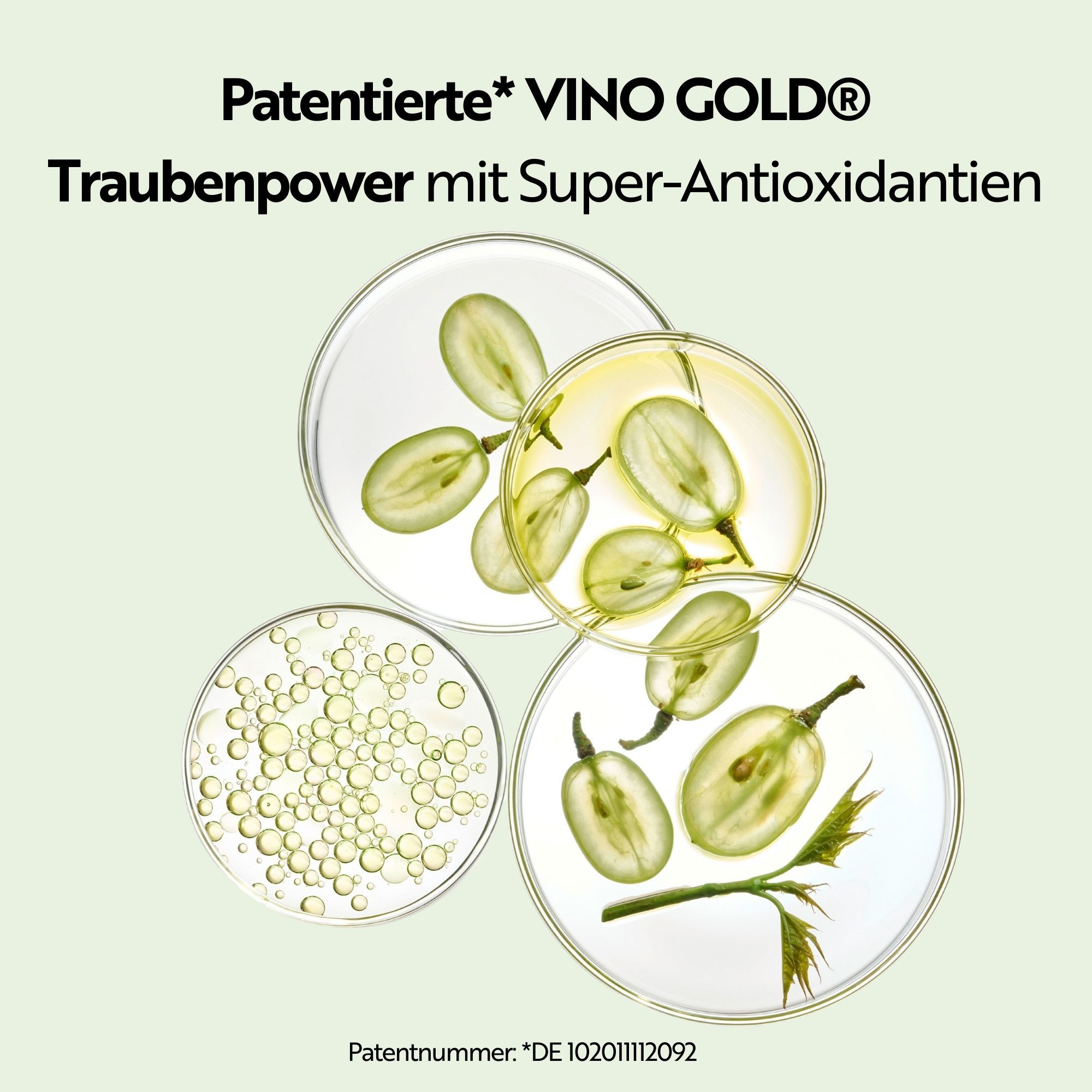 M. Asam VINO GOLD Straffende Körpercreme