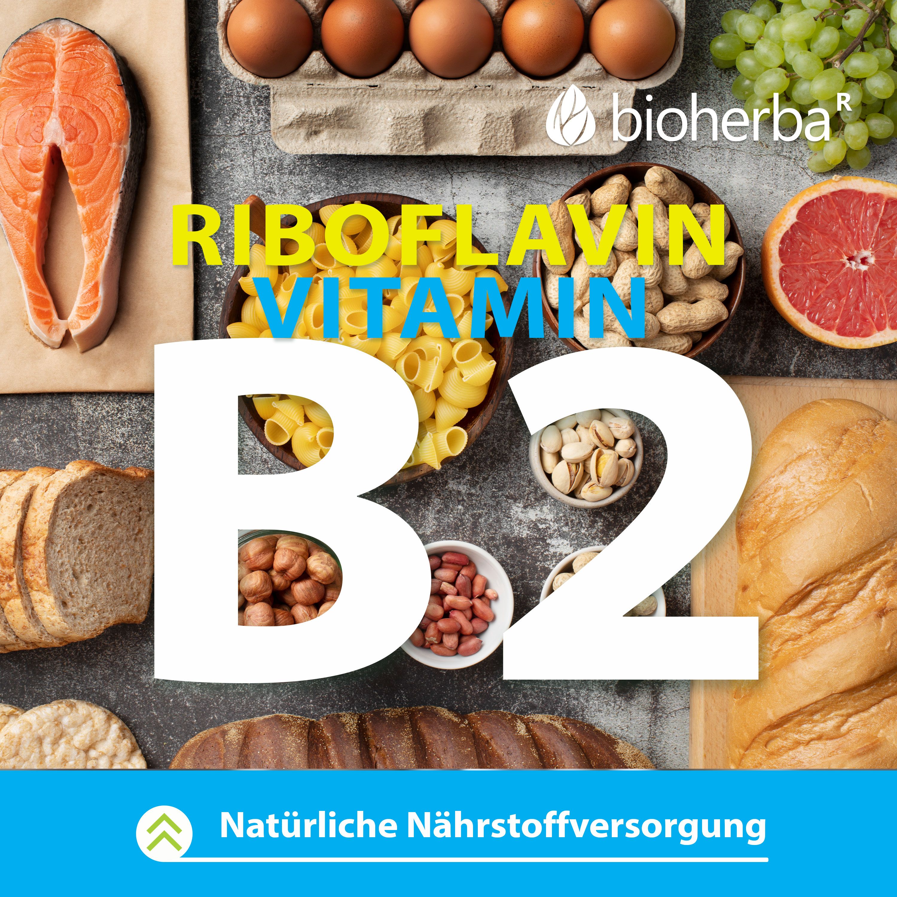 Verschiedene Lebensmittel, darunter Lachs, Eier, Nüsse, Brot, und Obst. Text: Riboflavin Vitamin B2. Natürliche Nährstoffversorgung.