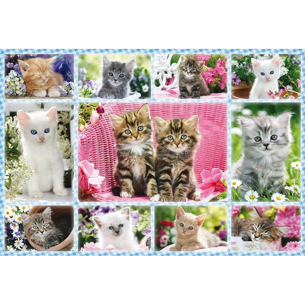 Katzenbabys - 100 Teile Puzzle