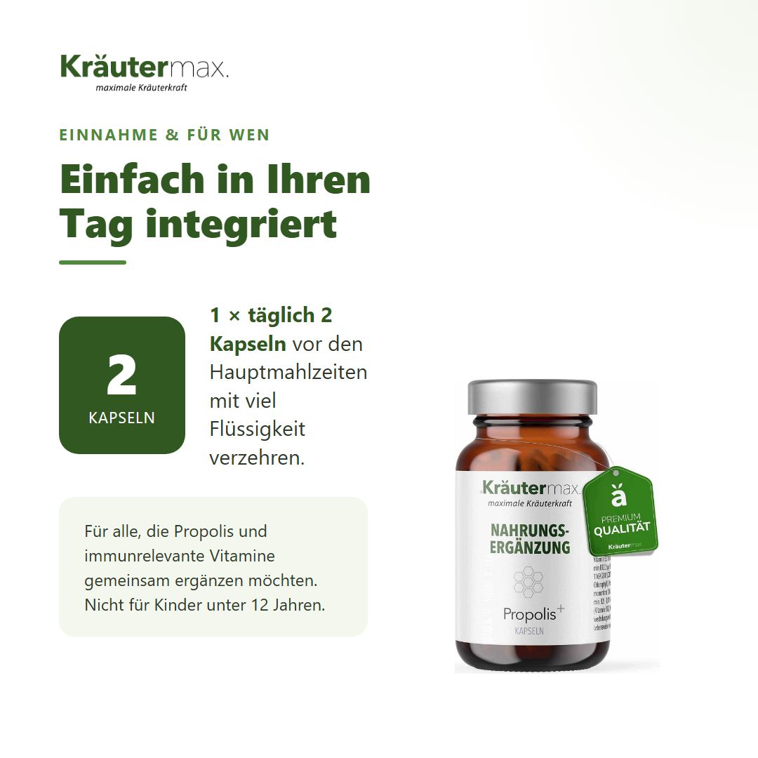 Anleitung zur Einnahme von 2 Kapseln täglich, mit Flasche Kräutermax Propolis Kapseln und Premium Qualität Siegel.