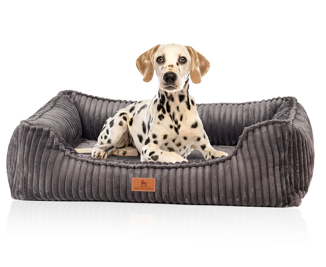 Ein Dalmatiner liegt in einem grauen, rechteckigen Hundebett mit erhöhten Seiten. Ein braunes Label mit Logo ist sichtbar.