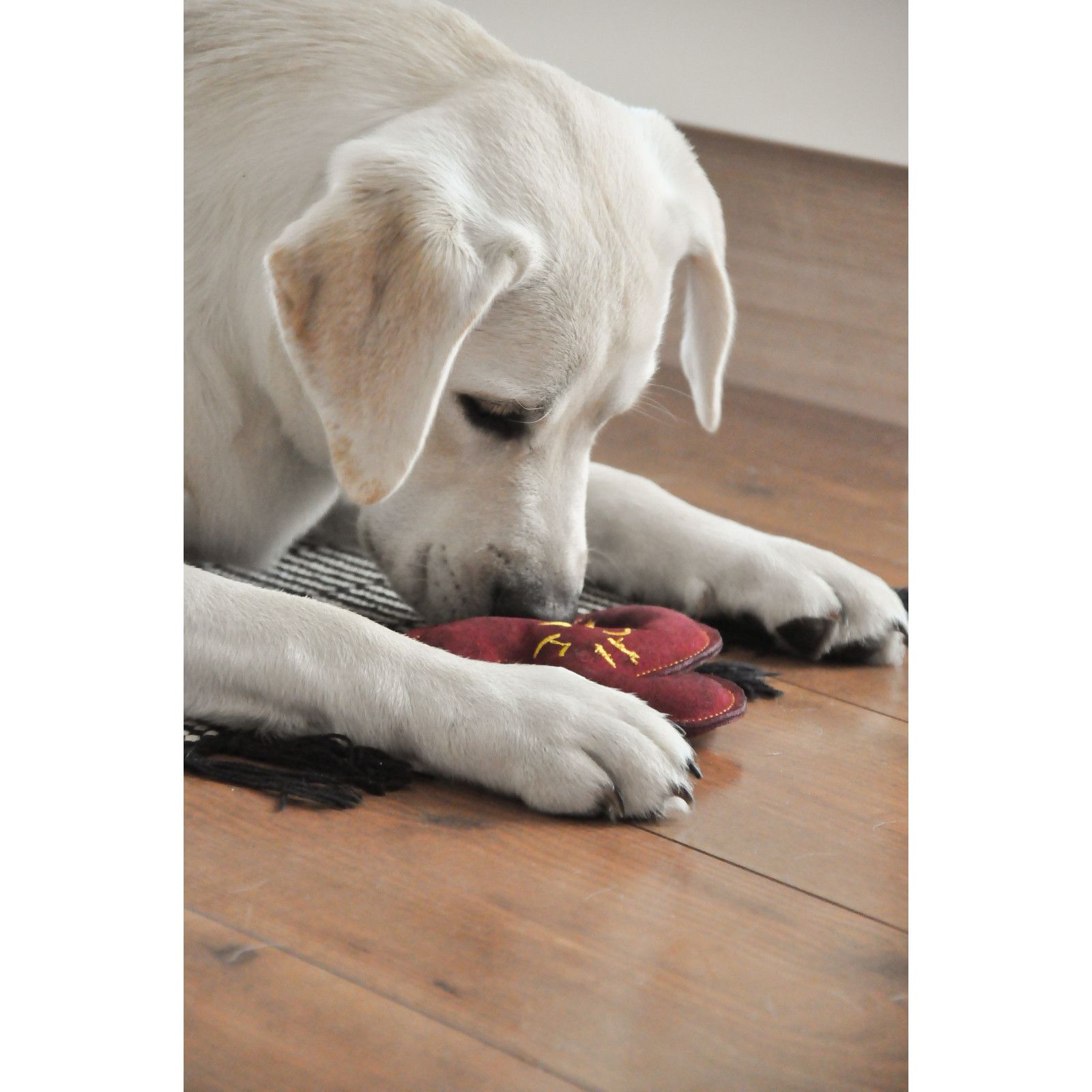 Aumüller Hundespielzeug aus Leder - Wurfstern