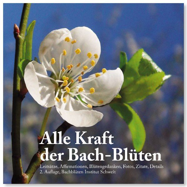 Buchcover mit Blüte und Titel: Alle Kraft der Bach-Blüten. Untertitel und Autorenangaben.