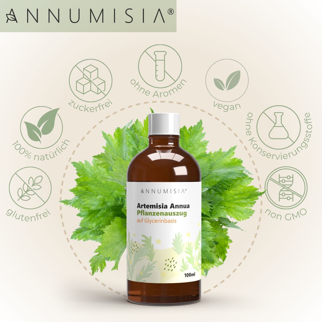 ANNUMISIA® Artemisia Annua Pflanzenauszug in einer braunen Glasflasche mit weißem Deckel. Das Etikett zeigt "Artemisia Annua Pflanzenauszug auf Glycerinbasis" und "100 ml".  Rundherum Symbole: zuckerfrei, ohne Aromen, vegan, ohne Konservierungsstoffe, 100% natürlich, glutenfrei, non-GMO.