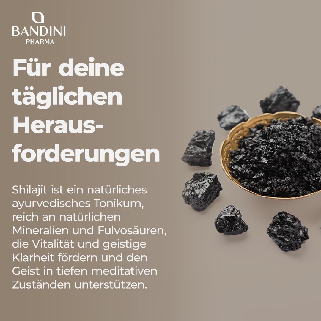 Schwarze Shilajit-Stücke in einer goldenen Schale. Text: Shilajit, reich an Mineralien und Fulvosäuren.
