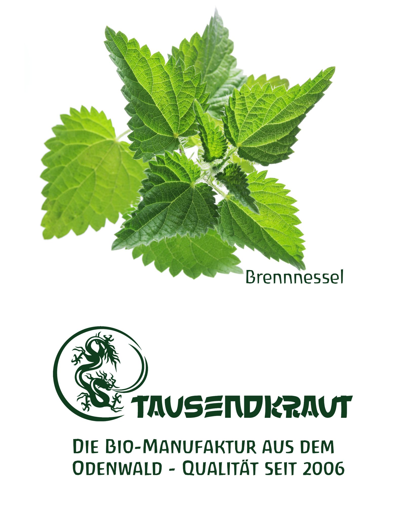 Tausendkraut Brennnessel Kraut BIO