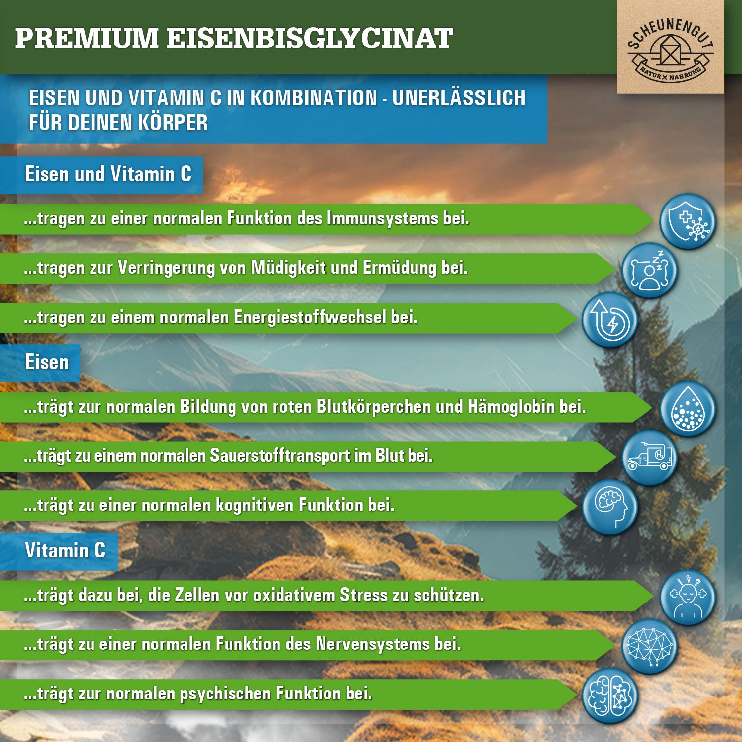 Scheunengut® Eisen Bisglycinat + natürliches Vitamin C hochdosiert | 240 vegane Eisentabletten