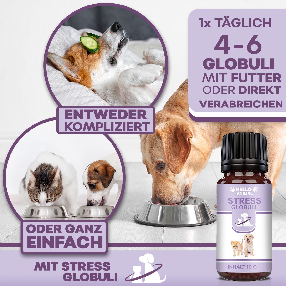 Braune Glasflasche mit schwarzem Deckel. Etikett mit Produktname, Logo und Abbildung von Hund und Katze. Anwendungshinweise.