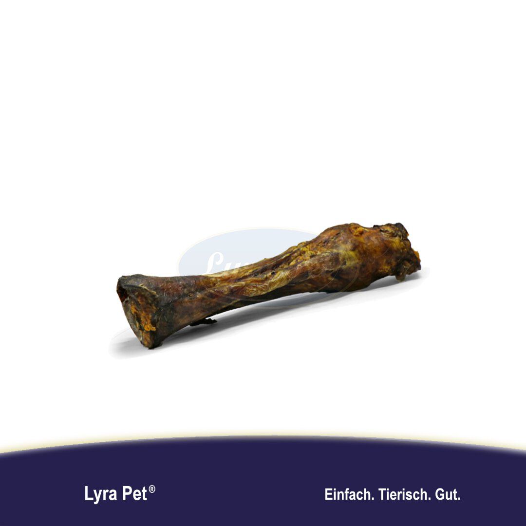 Lyra Pet® Pferdeknochen mit Sehne