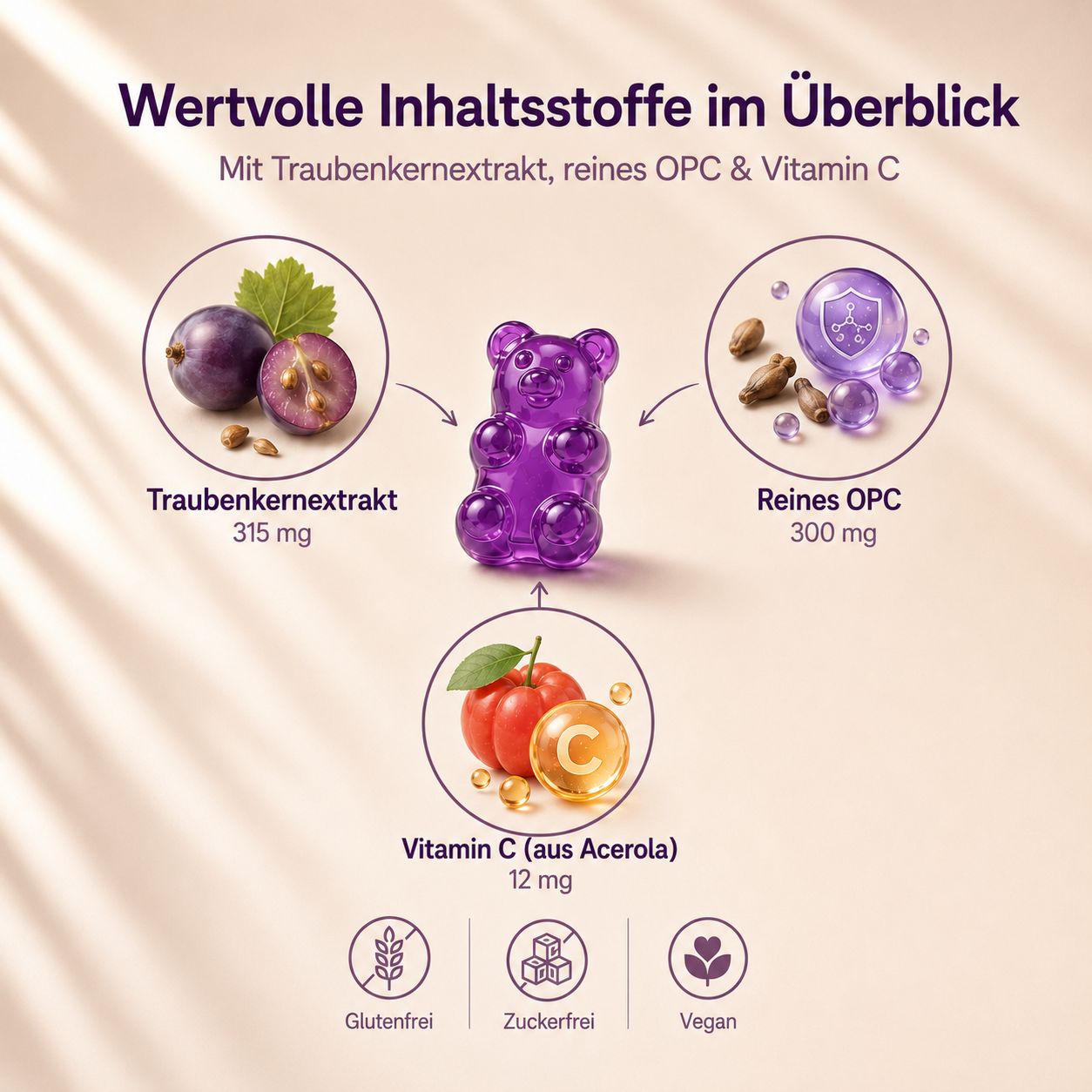 Übersicht der Inhaltsstoffe: Traubenkernextrakt, reines OPC und Vitamin C (Acerola).