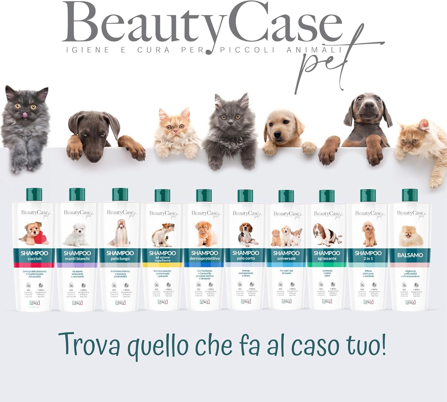 Verschiedene Shampoo-Flaschen für Haustiere. Text: BeautyCase pet. Finde, was zu dir passt!