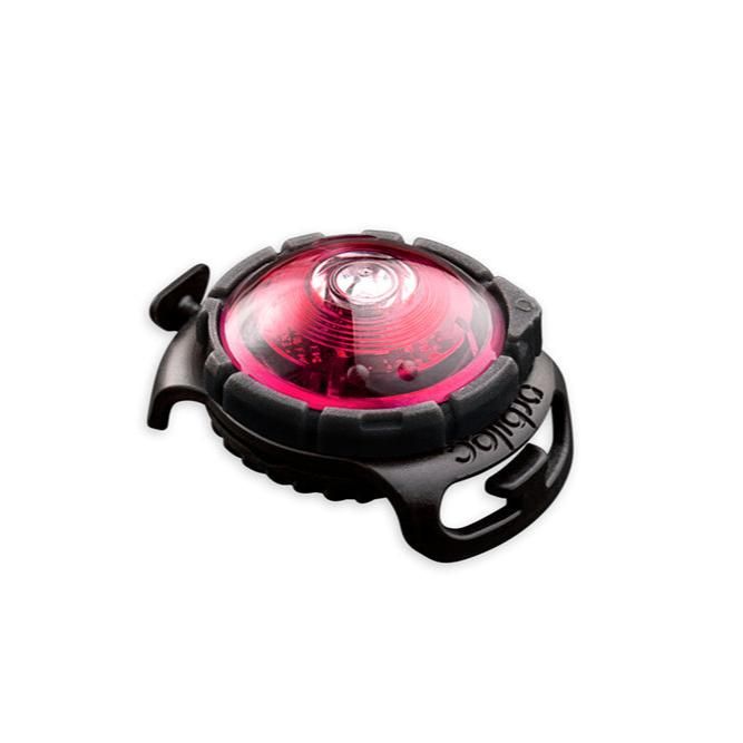 Orbiloc Sicherheitslicht Dog Dual Pink