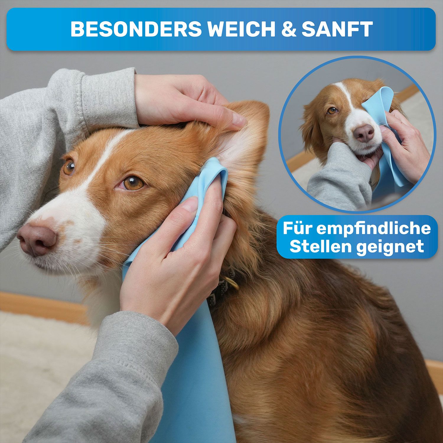 Nahaufnahme eines Hundes, dem ein blaues Tuch am Ohr gehalten wird. Text: Für empfindliche Stellen geeignet.