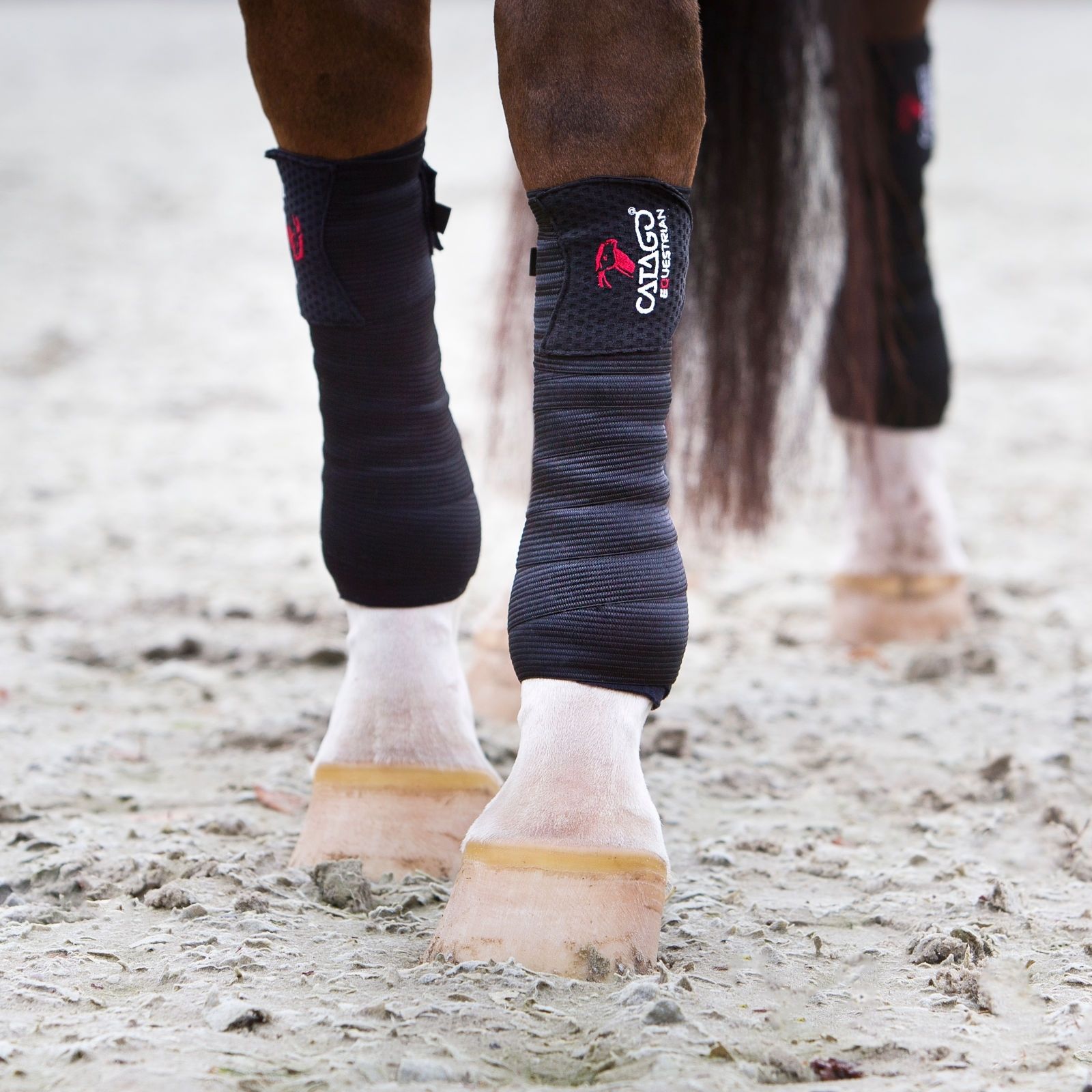 Schwarze Bandagen an Pferdebeinen. Rotes Logo: CATAGO Equestrian. Gerippte Textur, Klettverschluss.