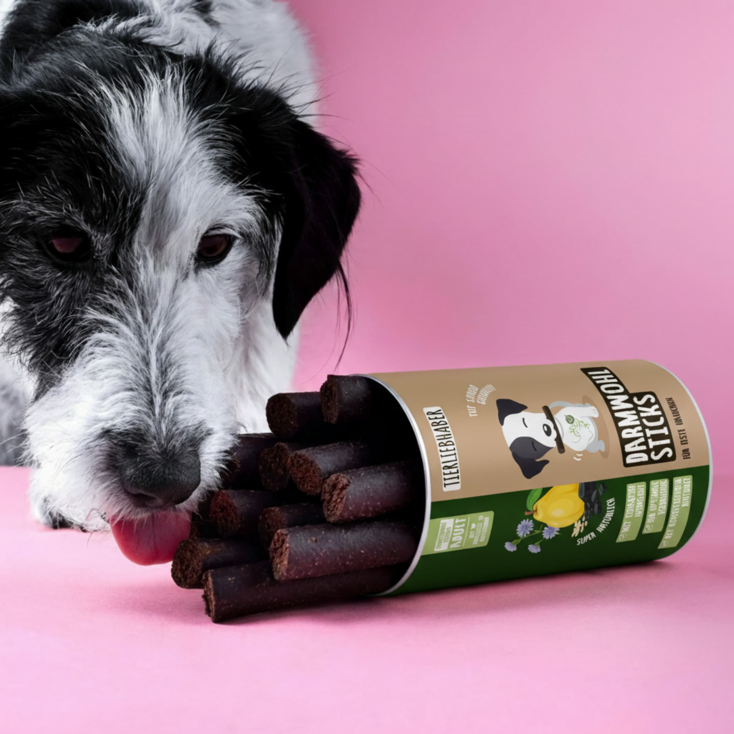 Darmwohl Sticks aus Dose, Hund leckt. Aufschrift: Tierliebhaber, Darmwohl Sticks. Braune Sticks.