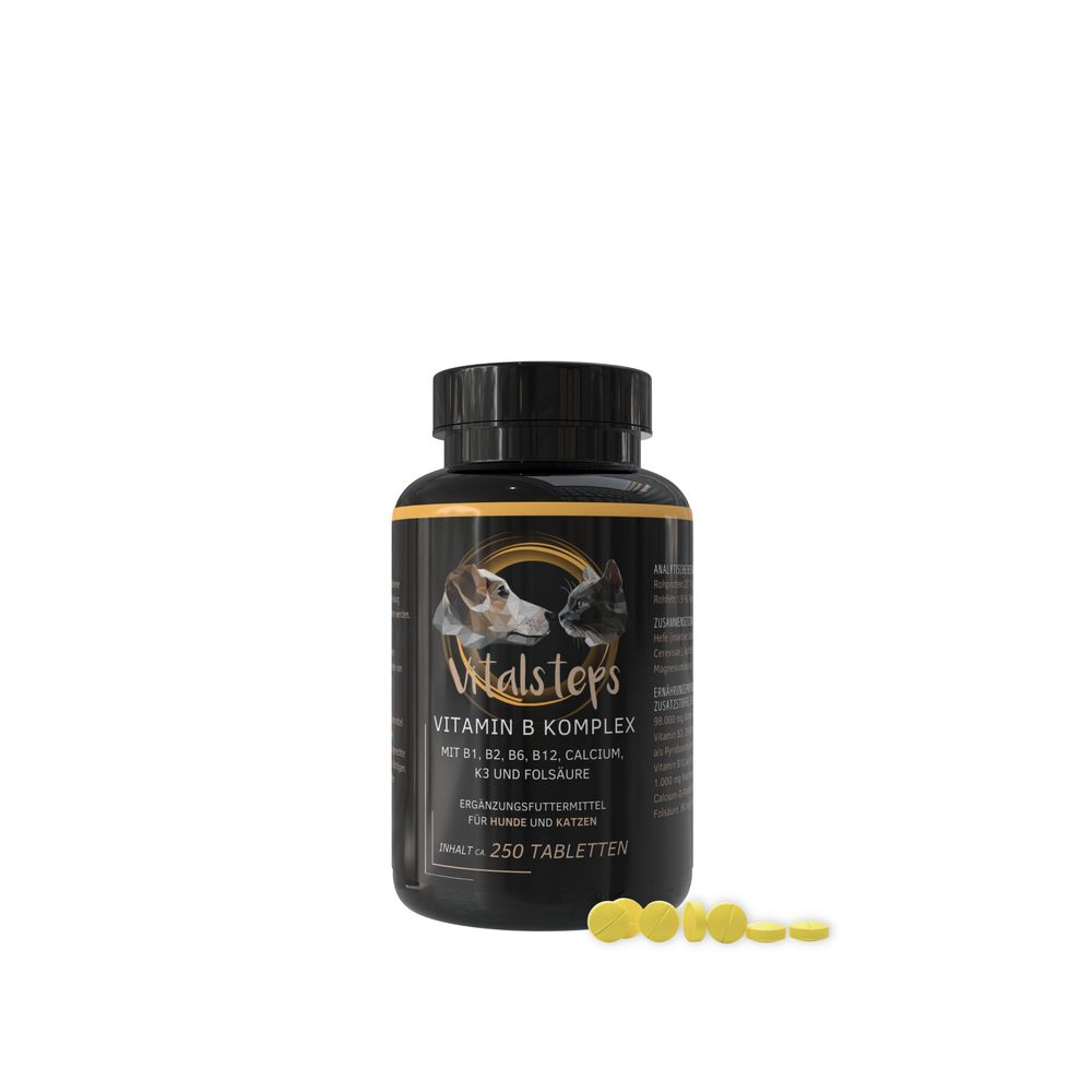 Vitalsteps Vitamin B Komplex 125 g Tabletten