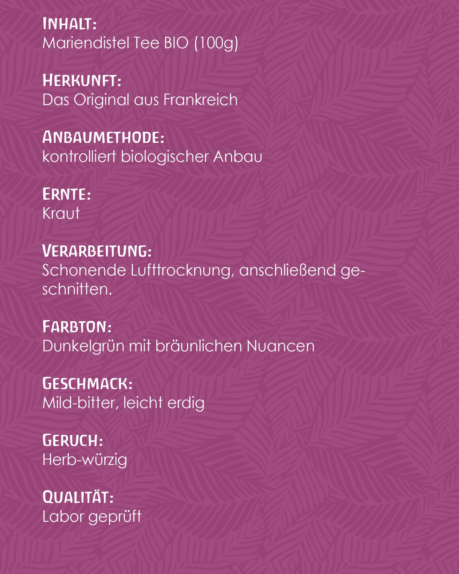 Textinformationen über Mariendistel Tee BIO. Inhaltsstoffe, Anbaumethode, Ernte, Verarbeitung, Geschmack, Geruch und Qualität.