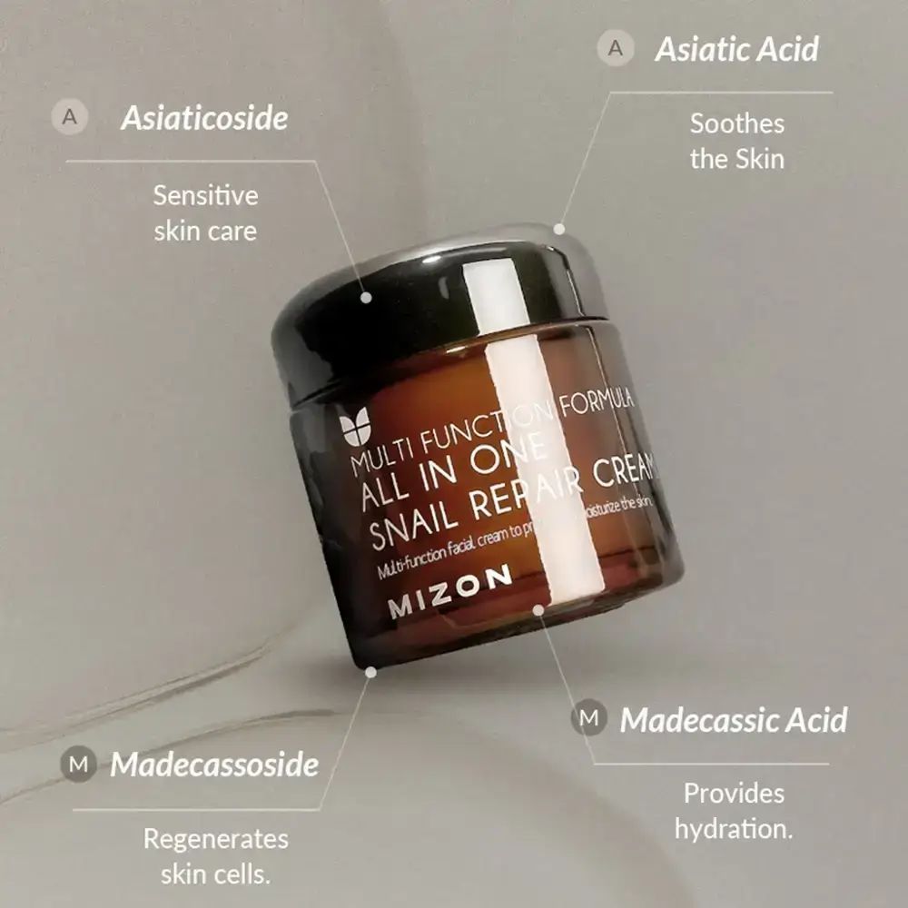 Braune Glasdose mit schwarzem Deckel. Aufschrift: ALL IN ONE SNAIL REPAIR CREAM. Marke: MIZON. Text-Annotationen.