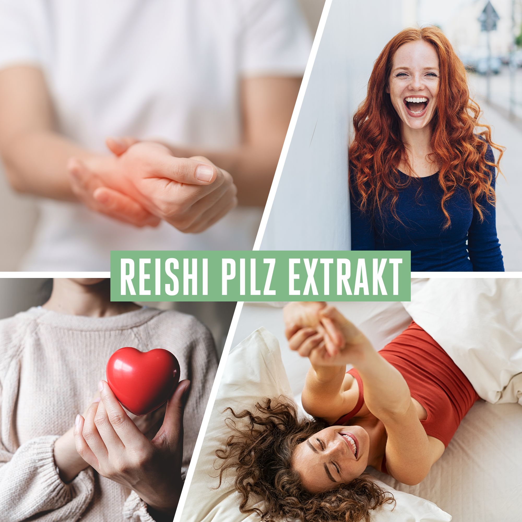 Vitabay Reishi Pilz Extrakt 500 mg 60 St Kapseln